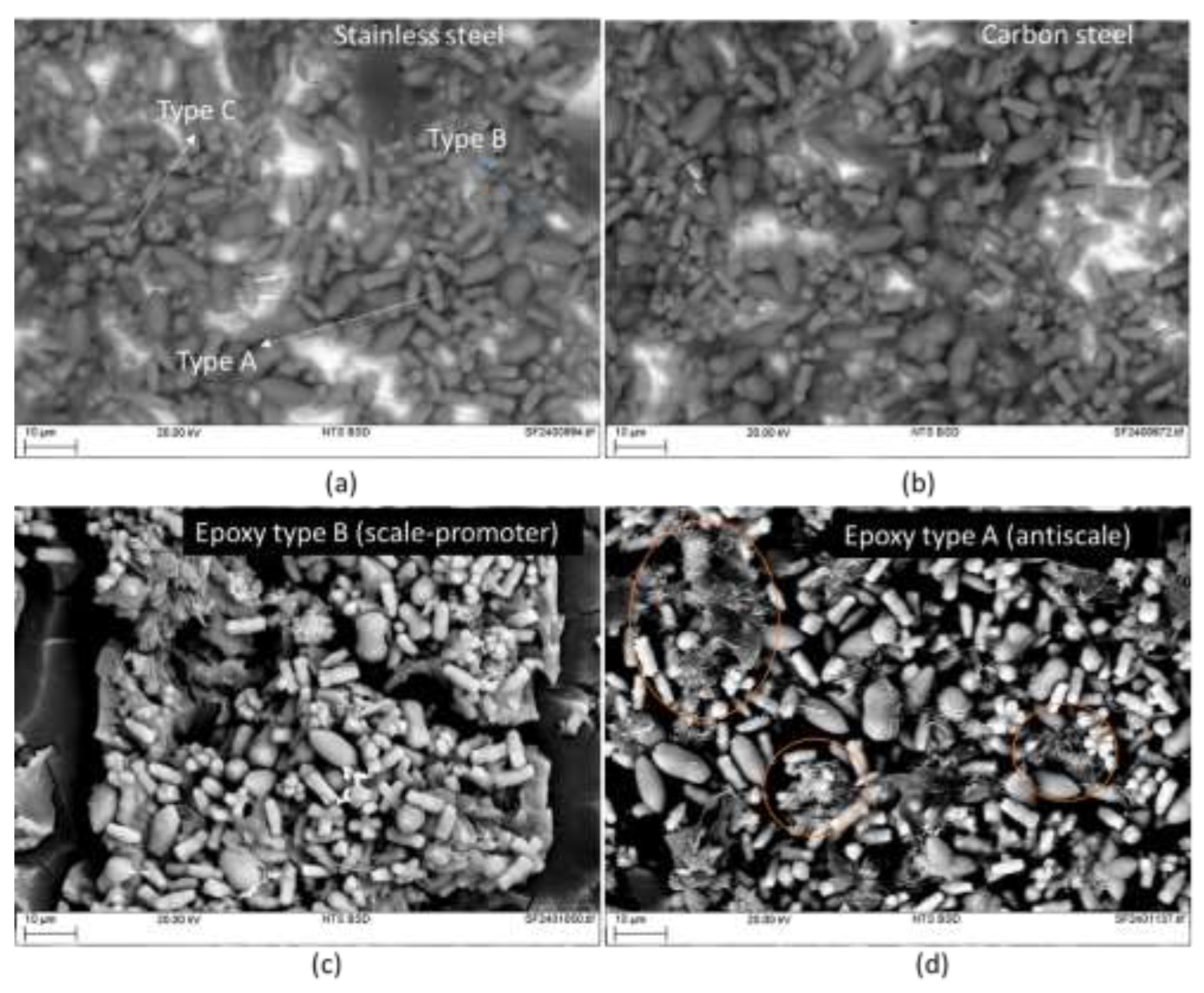 Preprints 119031 g005