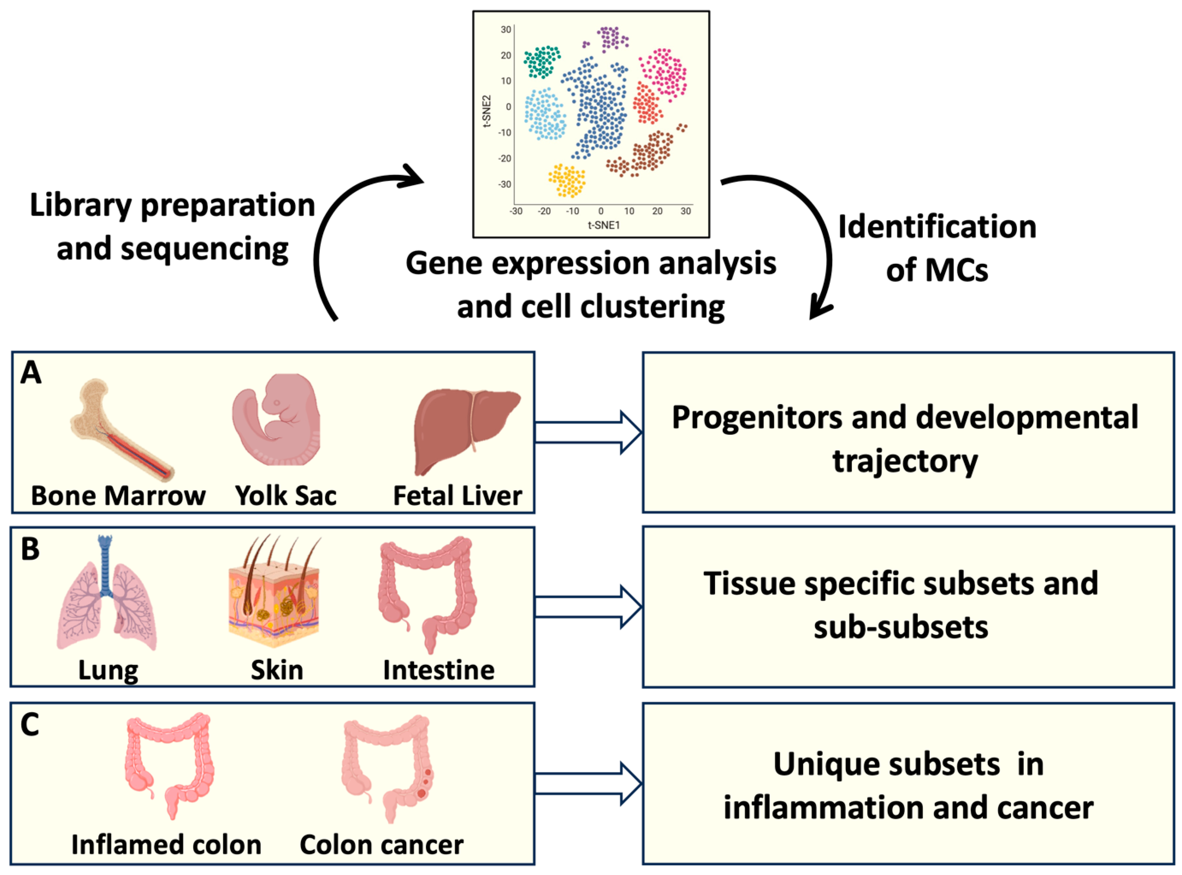 Preprints 103221 g001