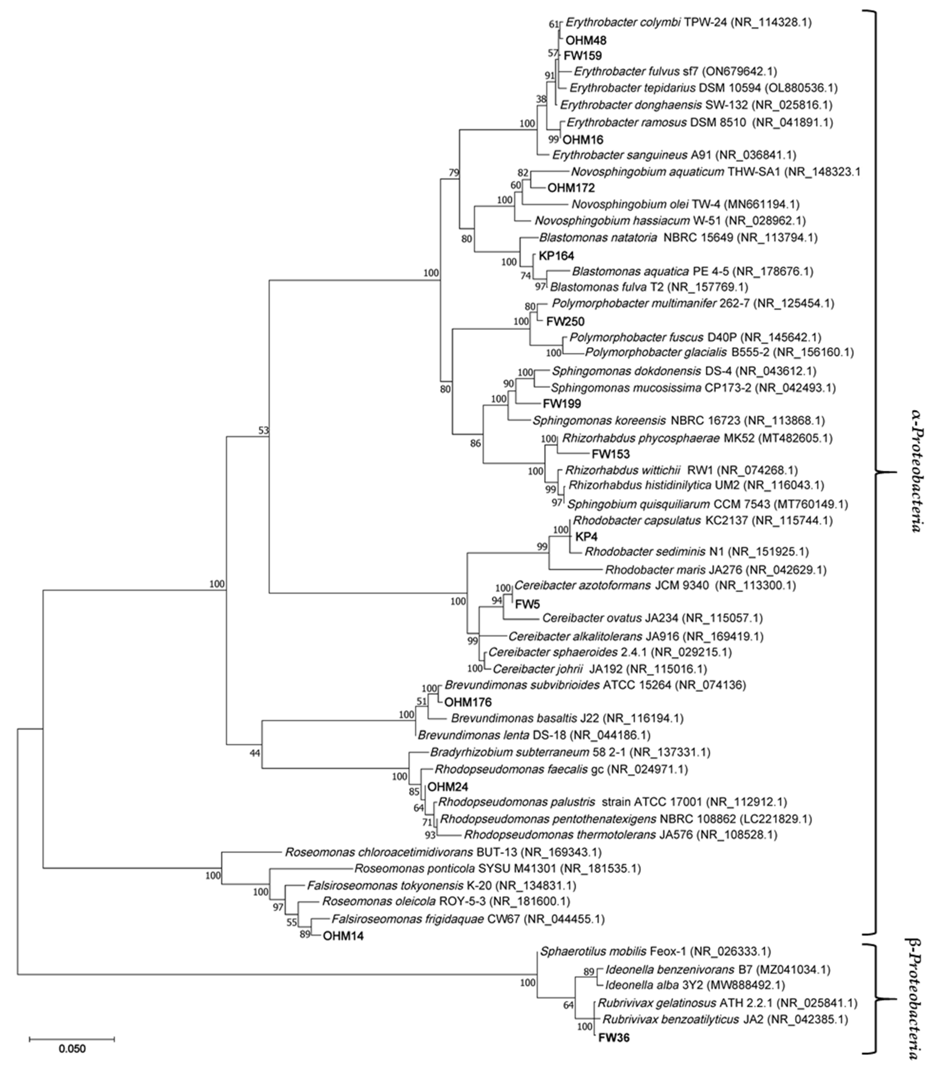 Preprints 105093 g005