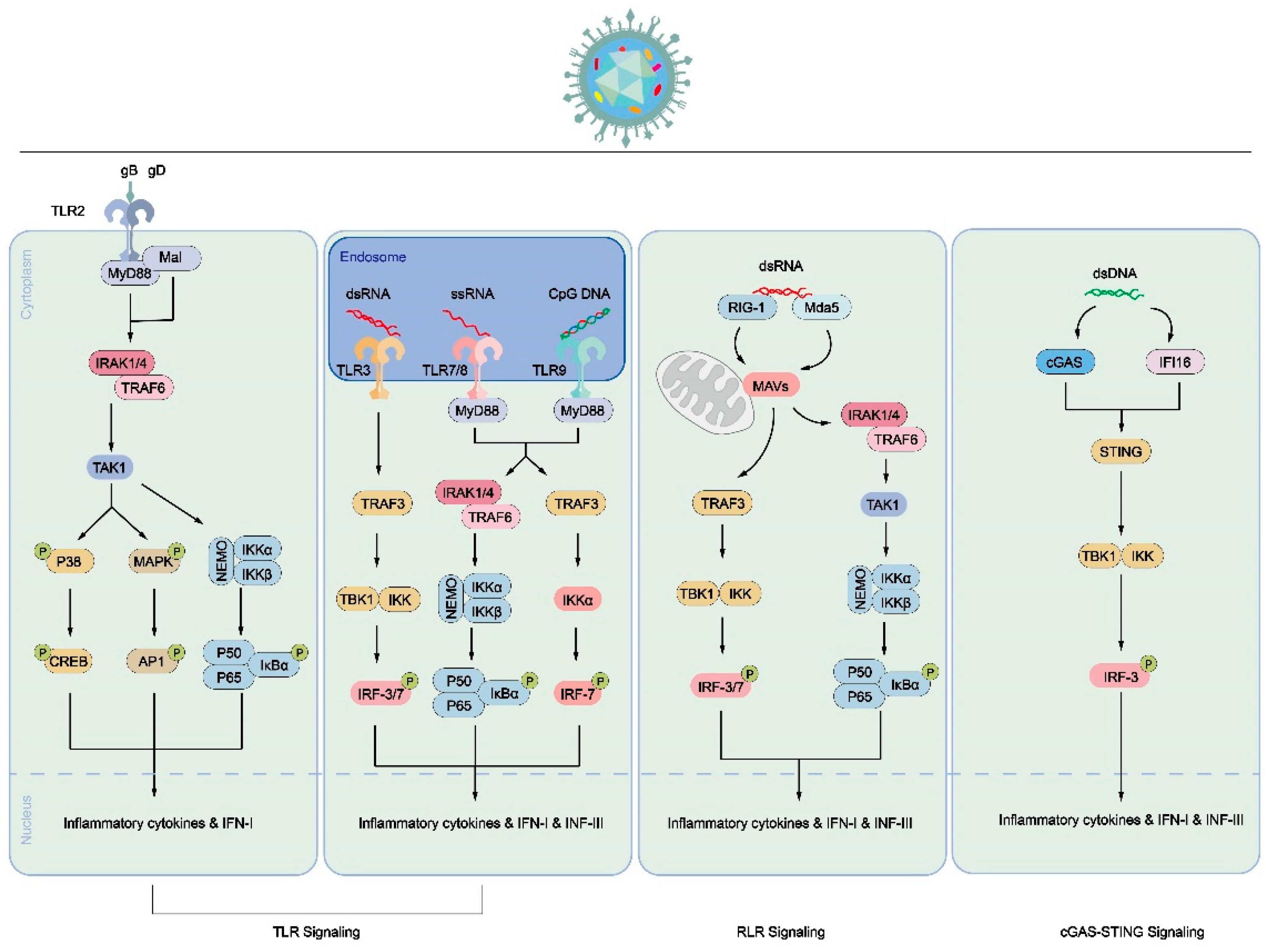 Preprints 91958 g003