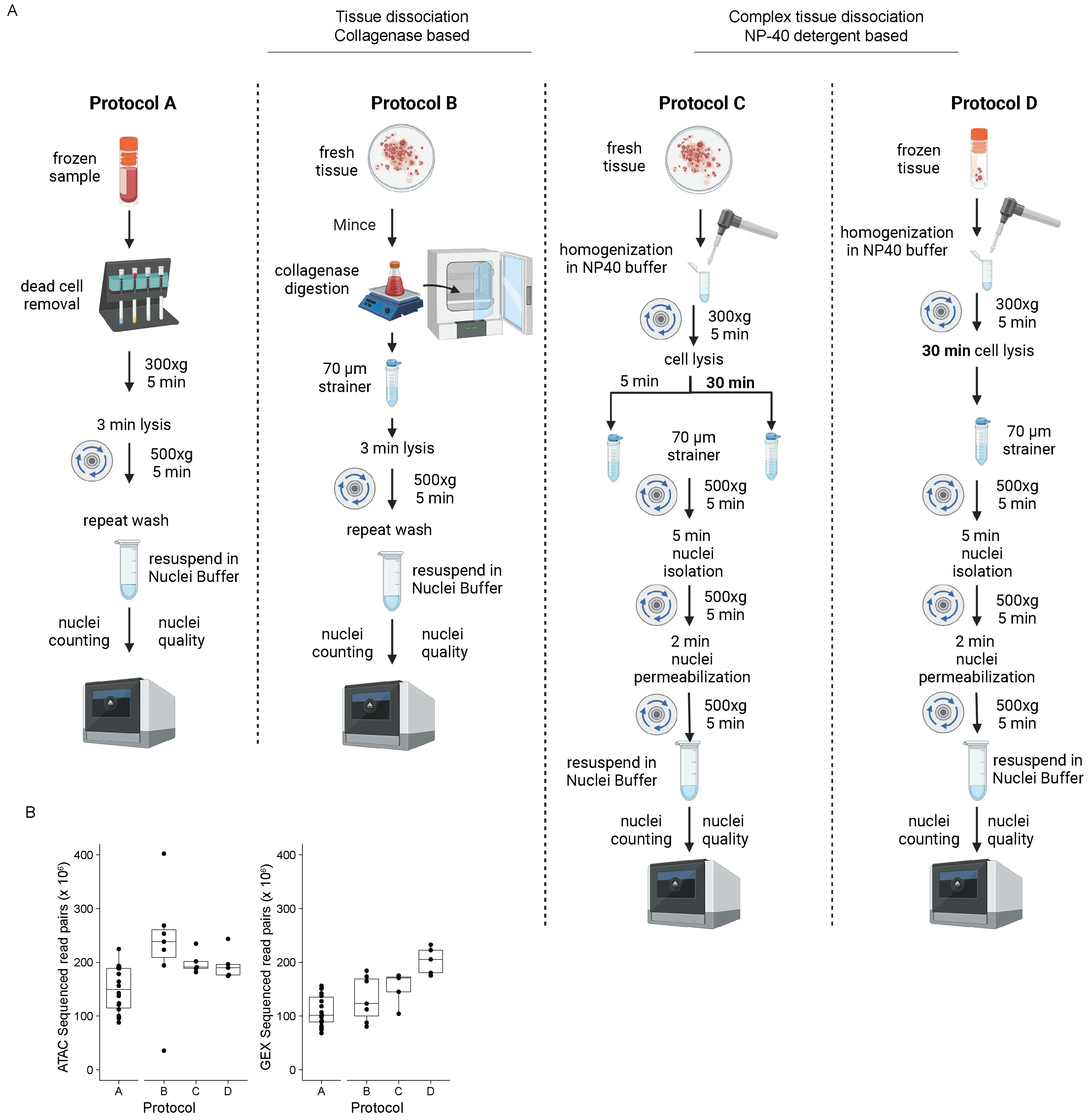 Preprints 72962 g001