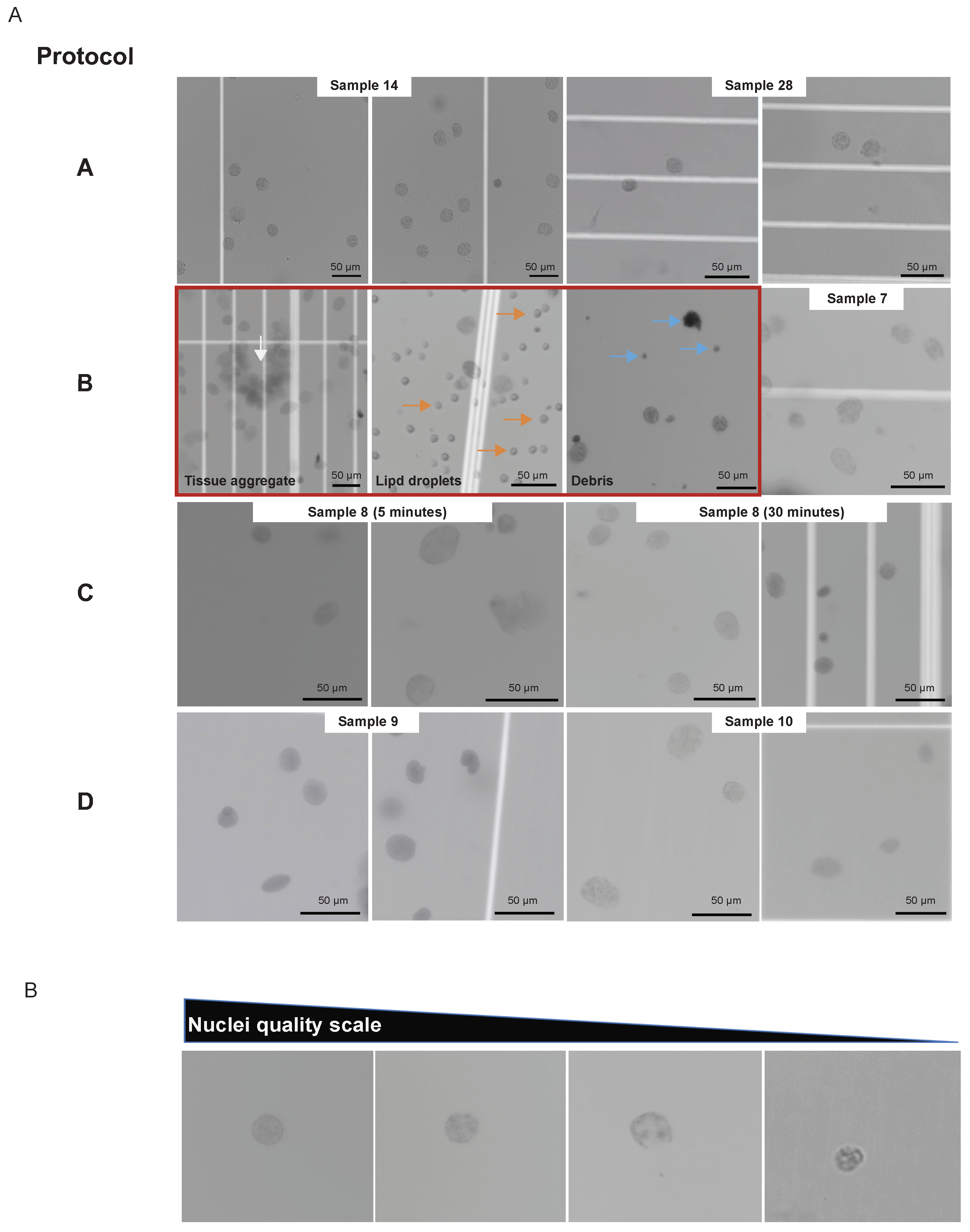 Preprints 72962 g002