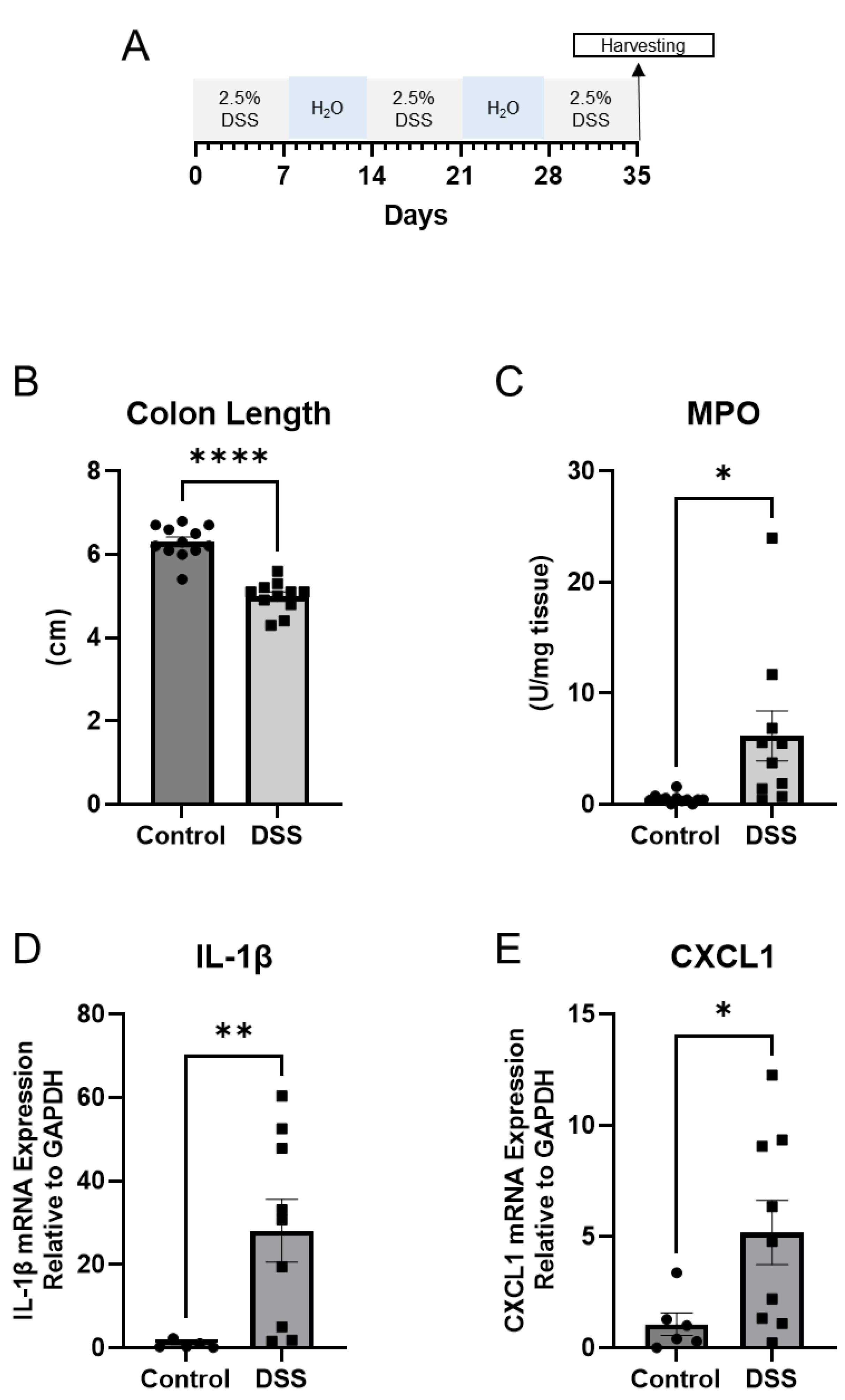 Preprints 76414 g001