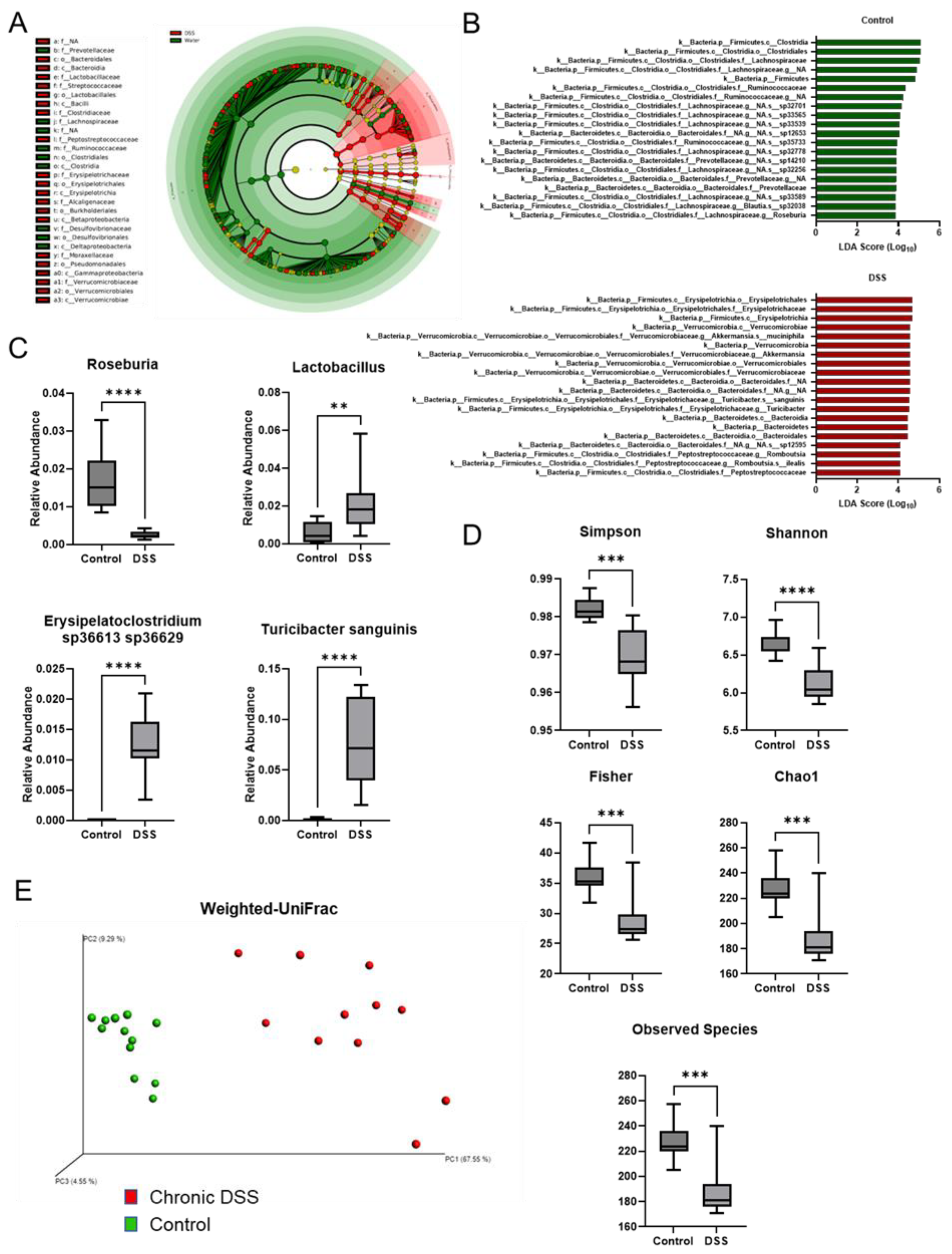 Preprints 76414 g002