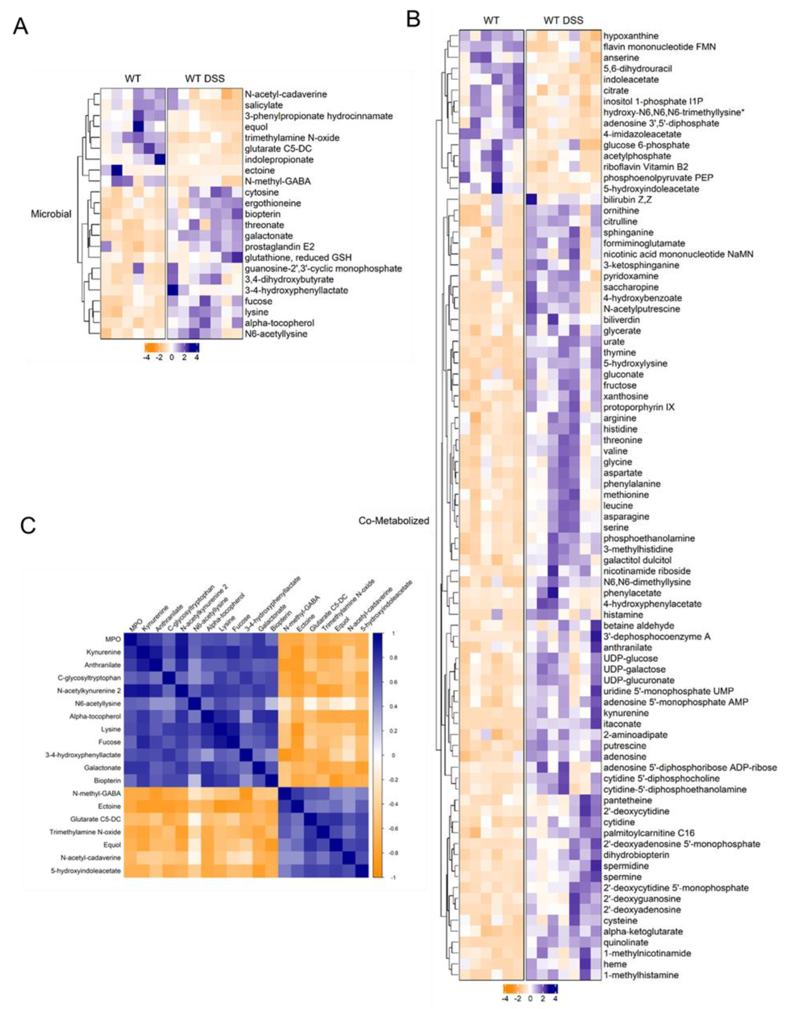 Preprints 76414 g005