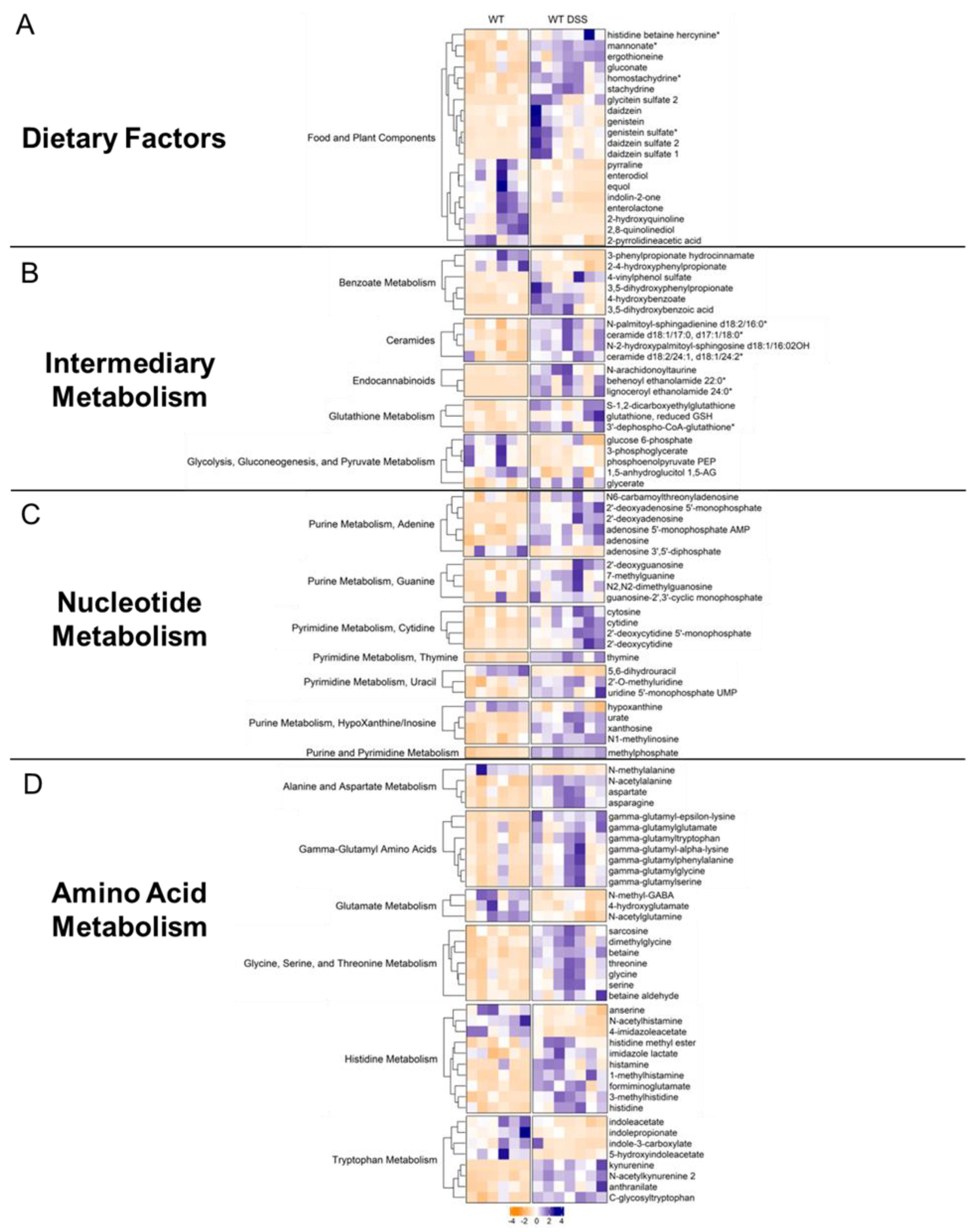 Preprints 76414 g006