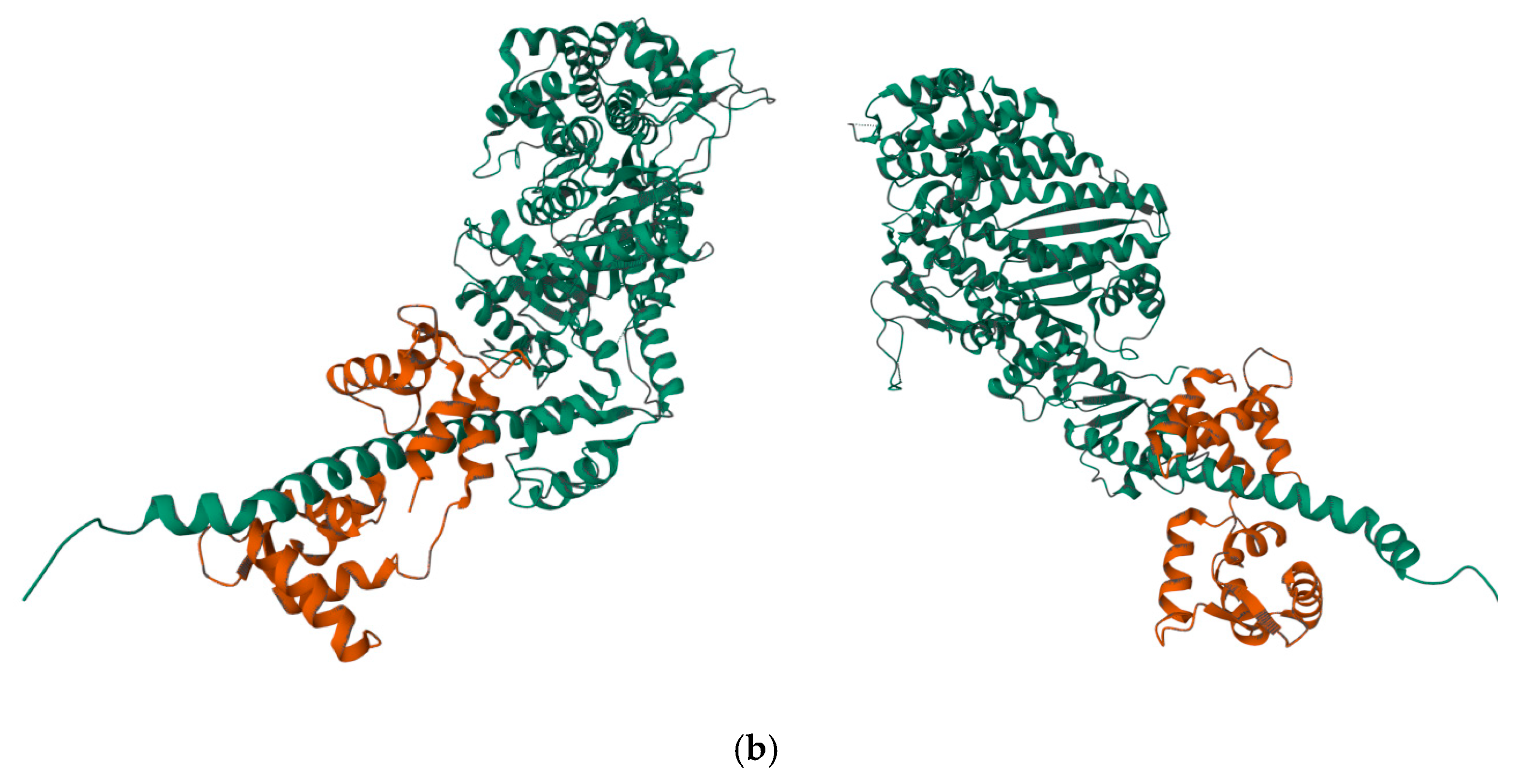 Preprints 88071 g001b