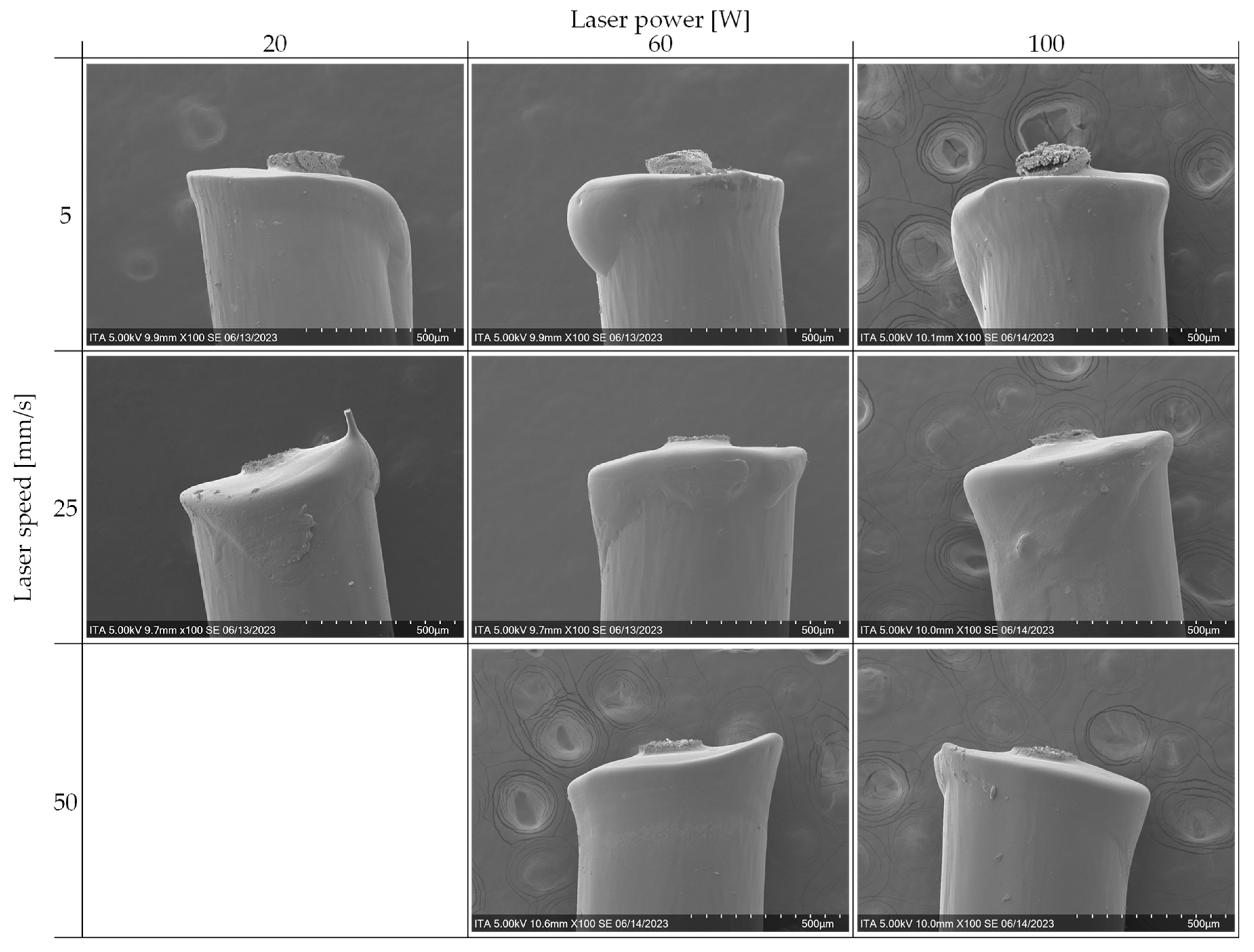 Preprints 97013 g005