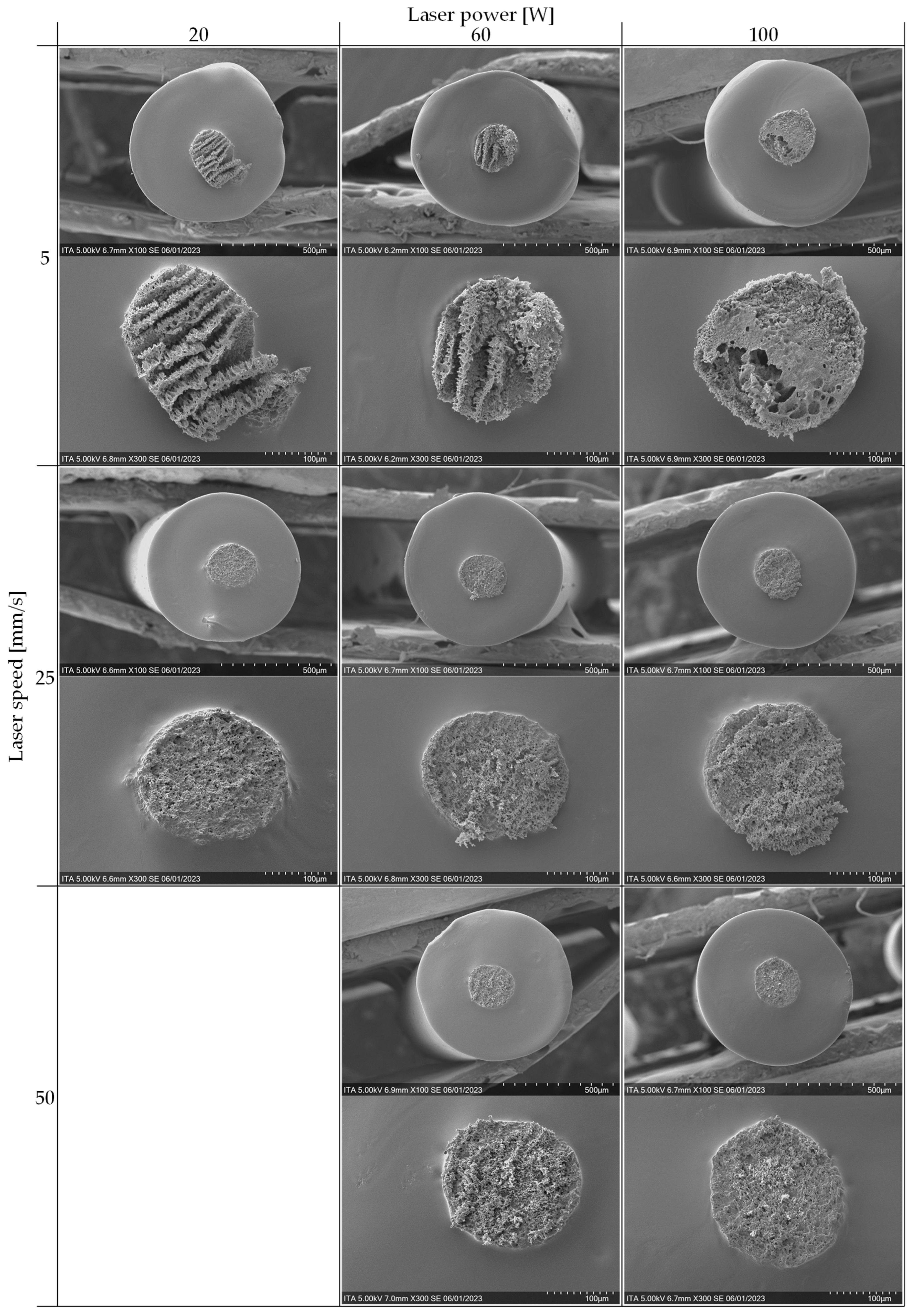 Preprints 97013 g006