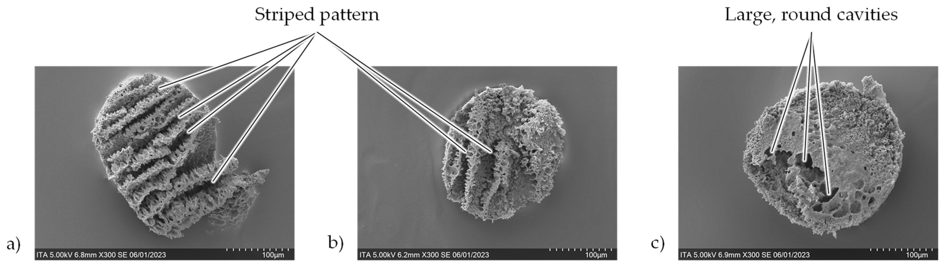 Preprints 97013 g013