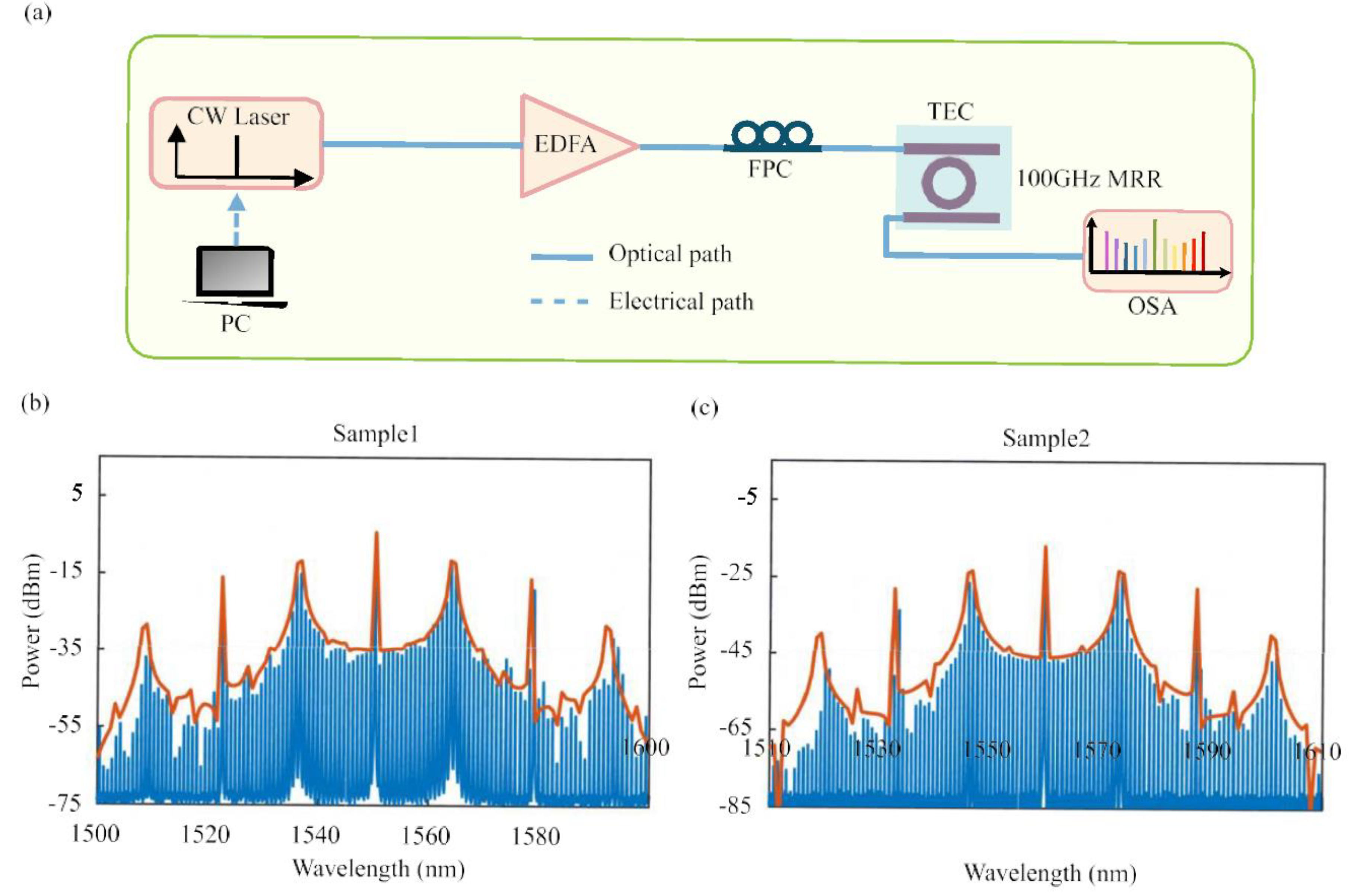 Preprints 120045 g002