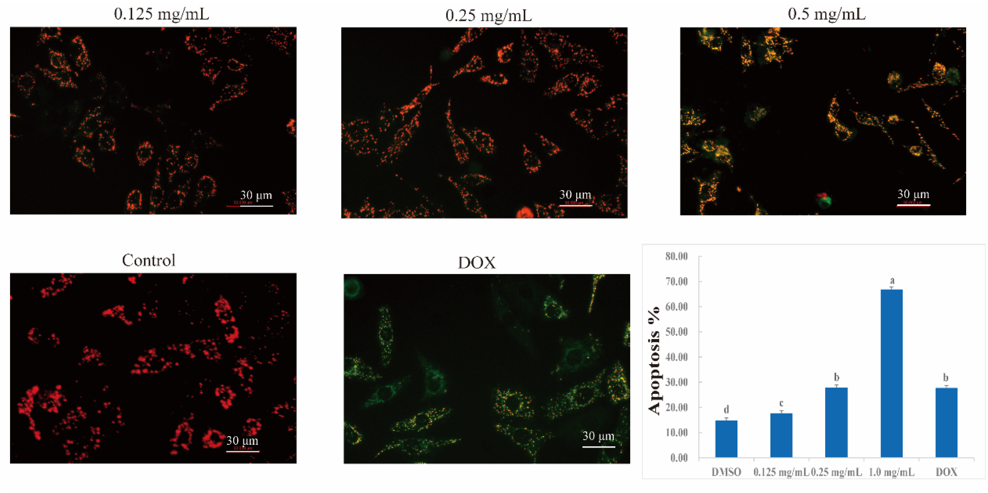 Preprints 115466 g013