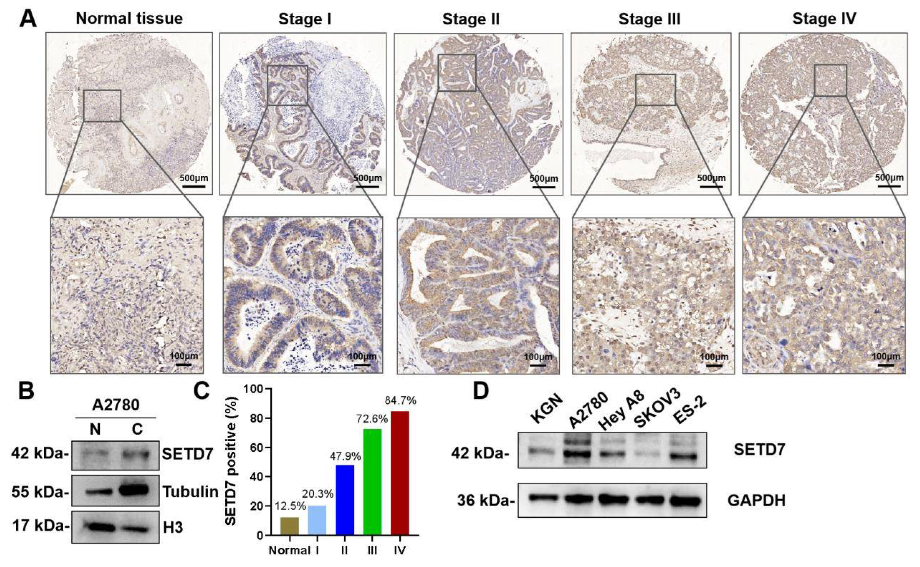 Preprints 109633 g001