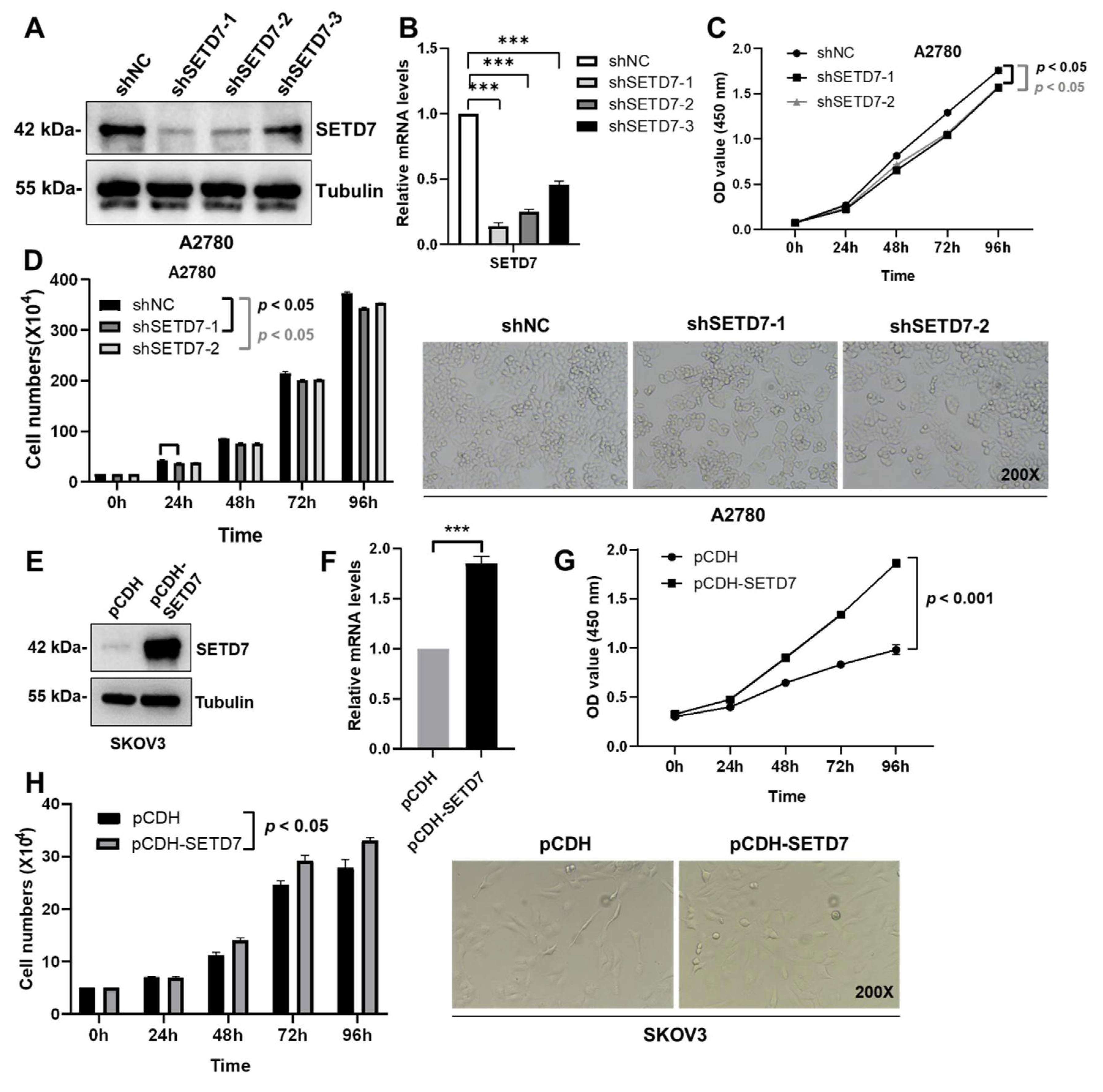 Preprints 109633 g003