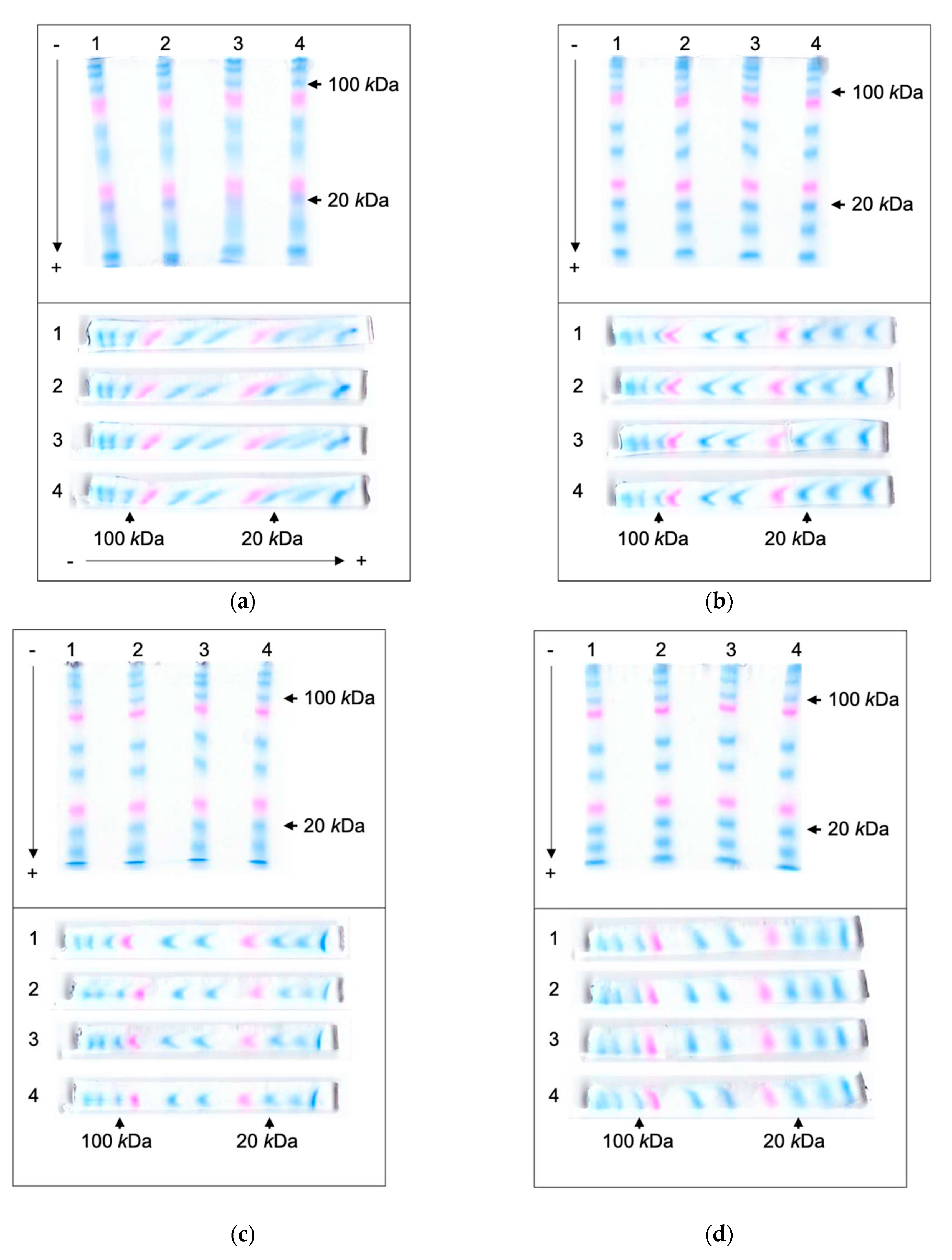 Preprints 86283 g002a