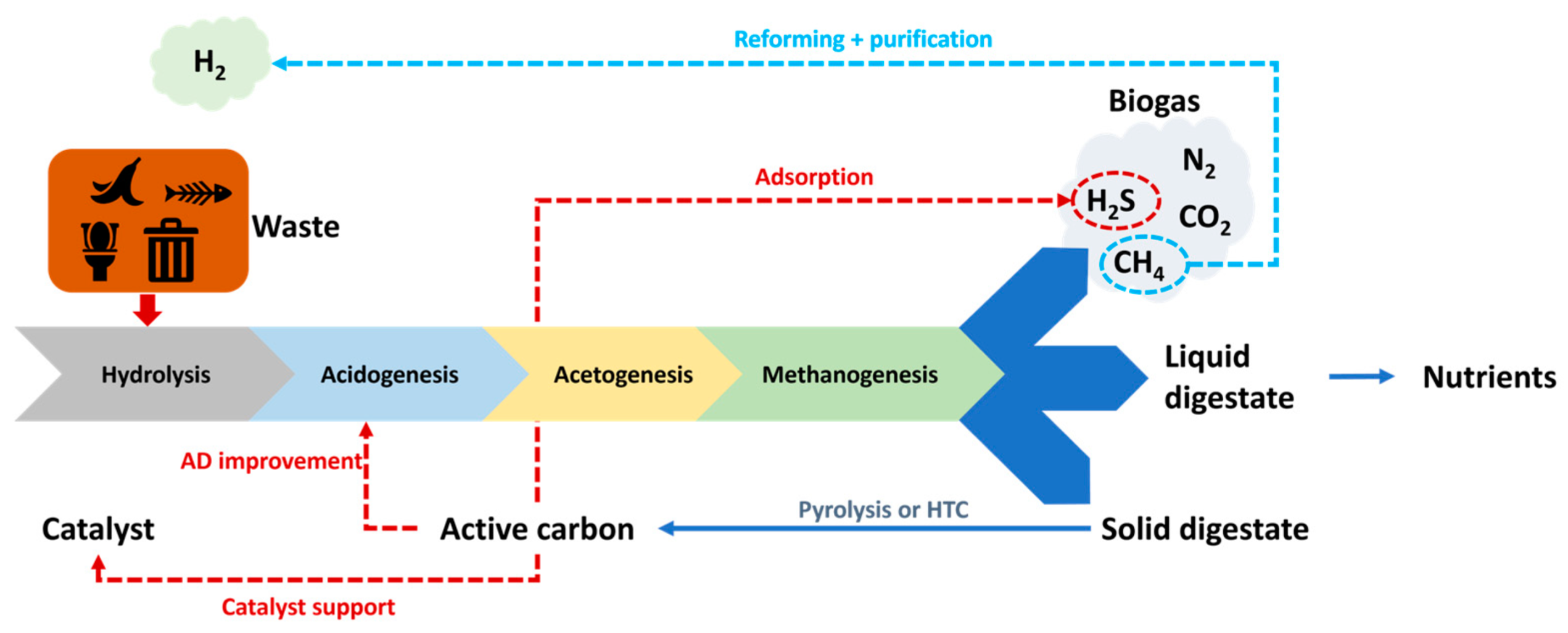 Preprints 114014 g006