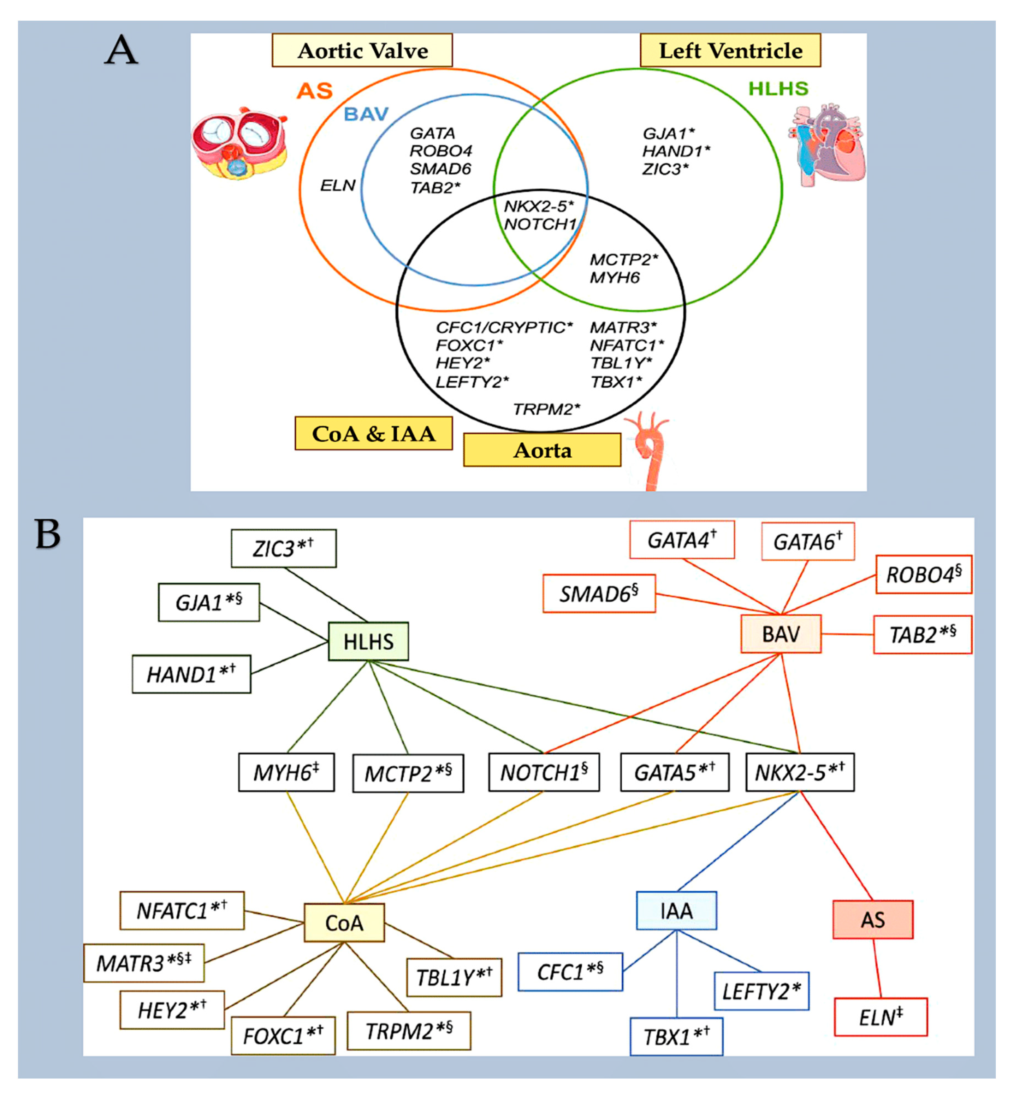 Preprints 95175 g010