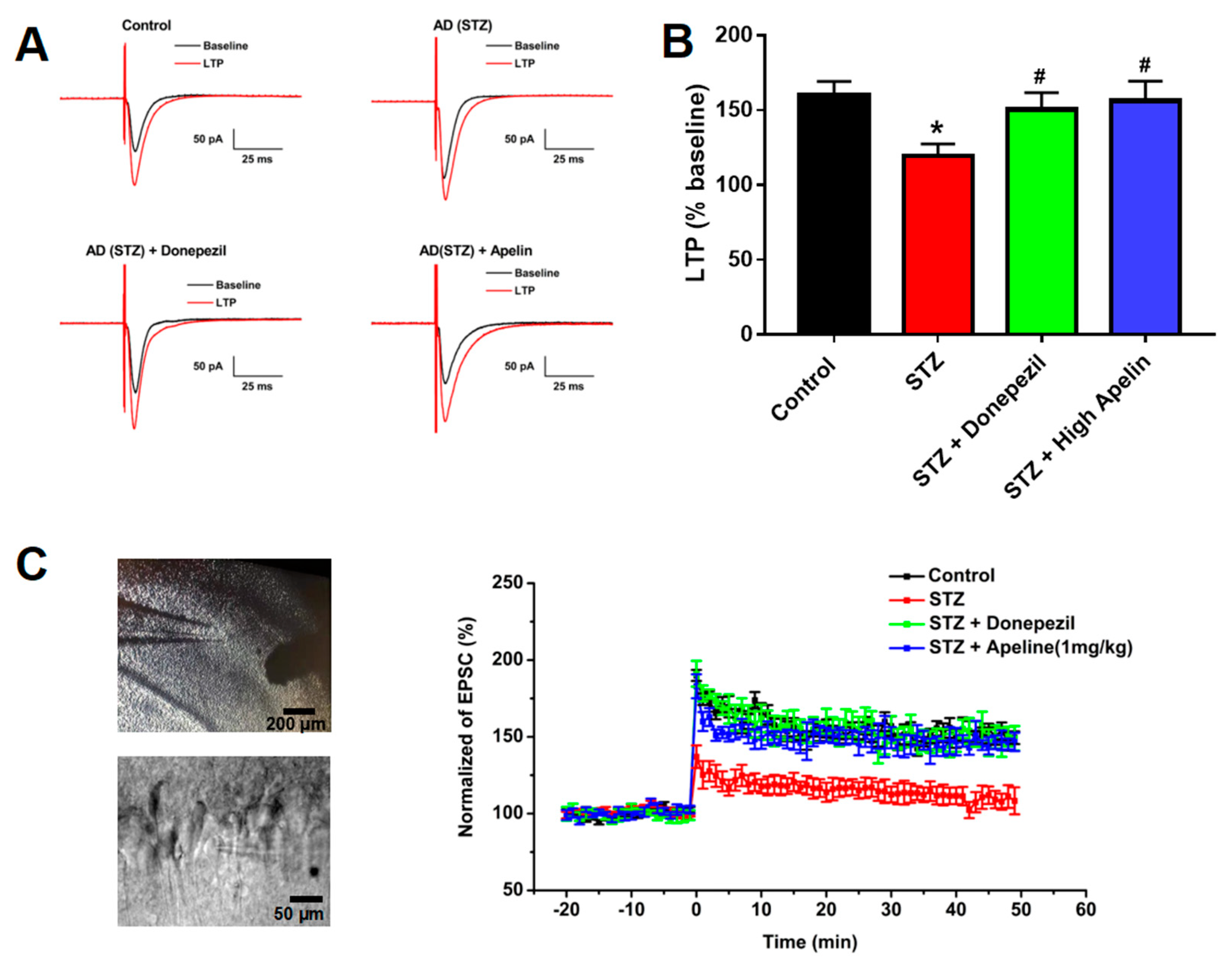 Preprints 103851 g002