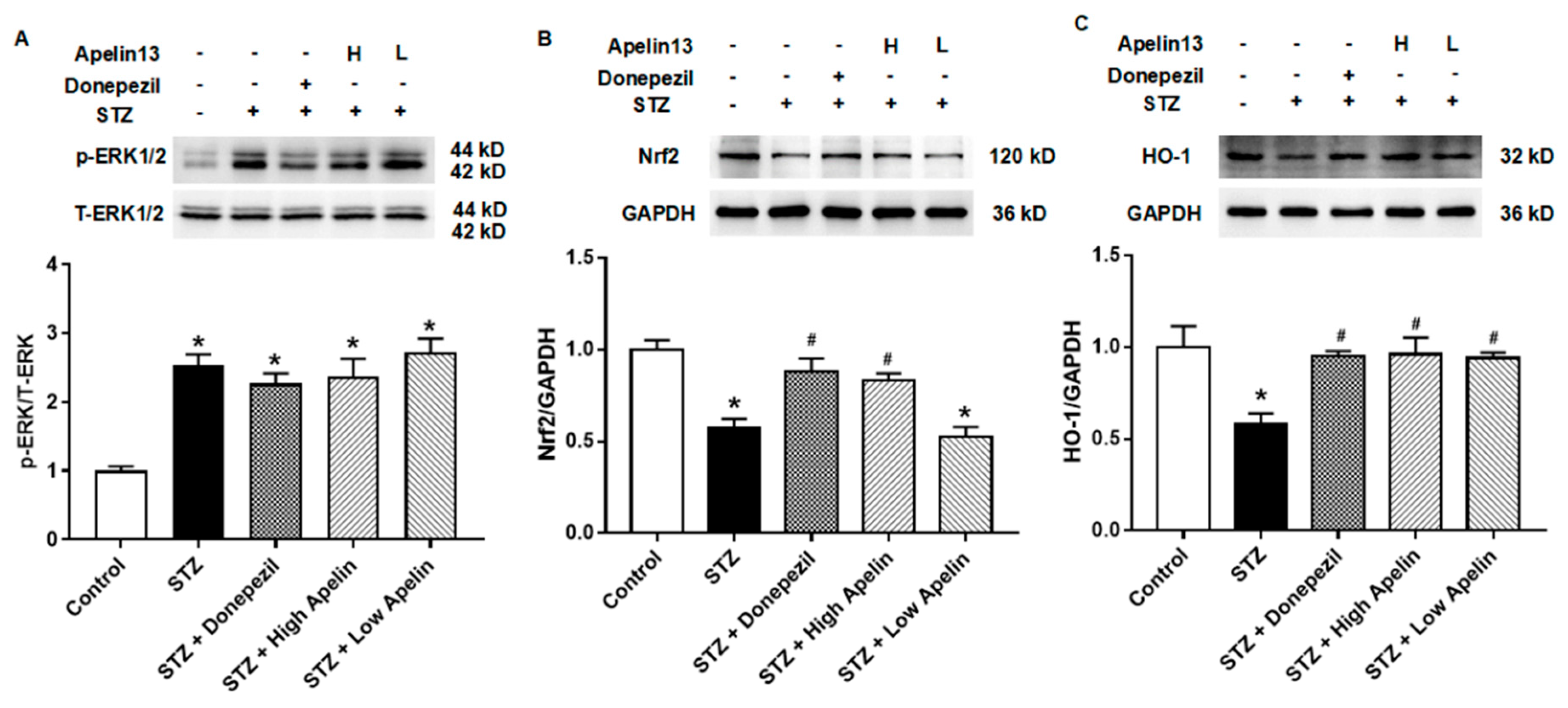 Preprints 103851 g004