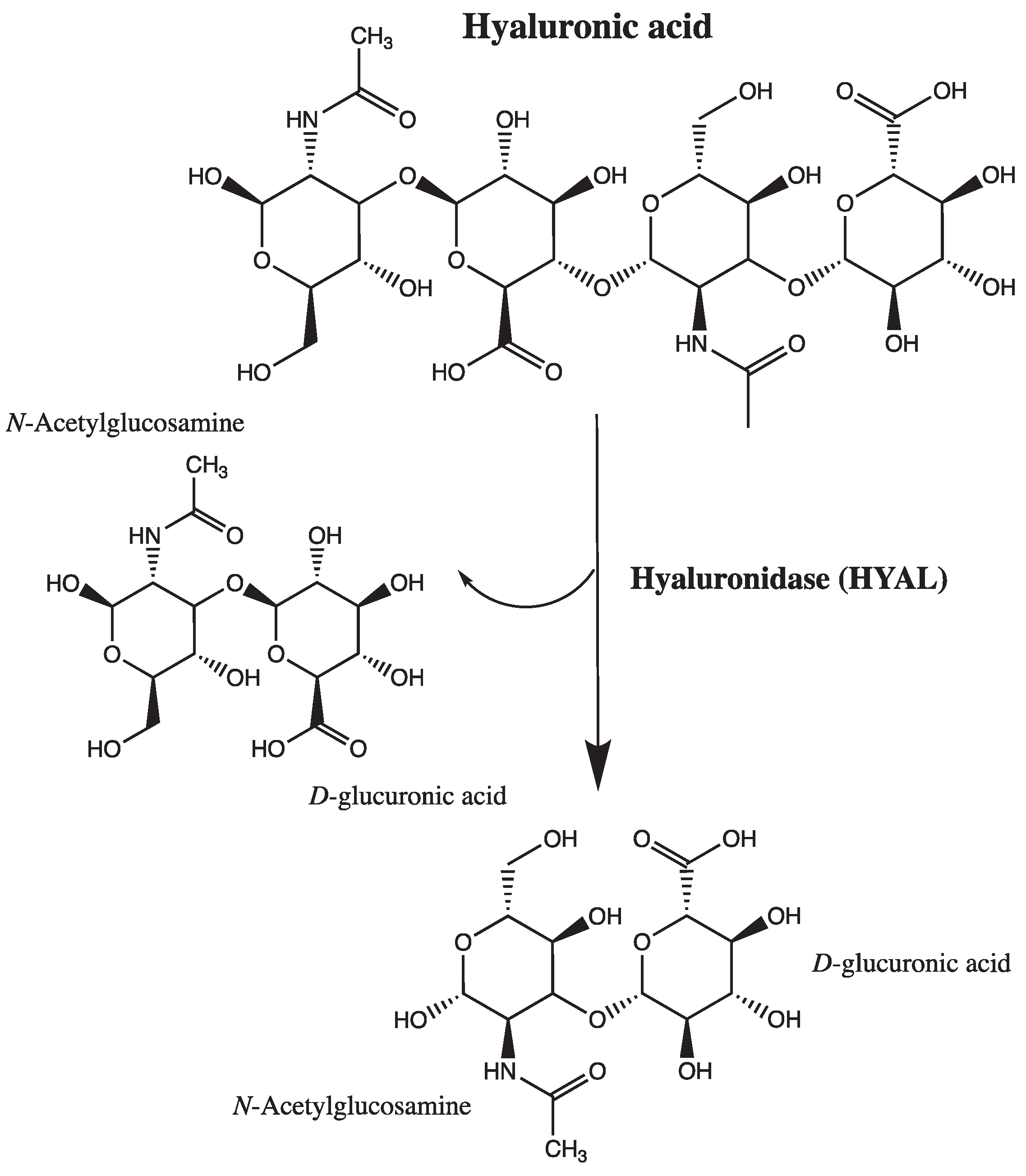 Preprints 100866 sch001