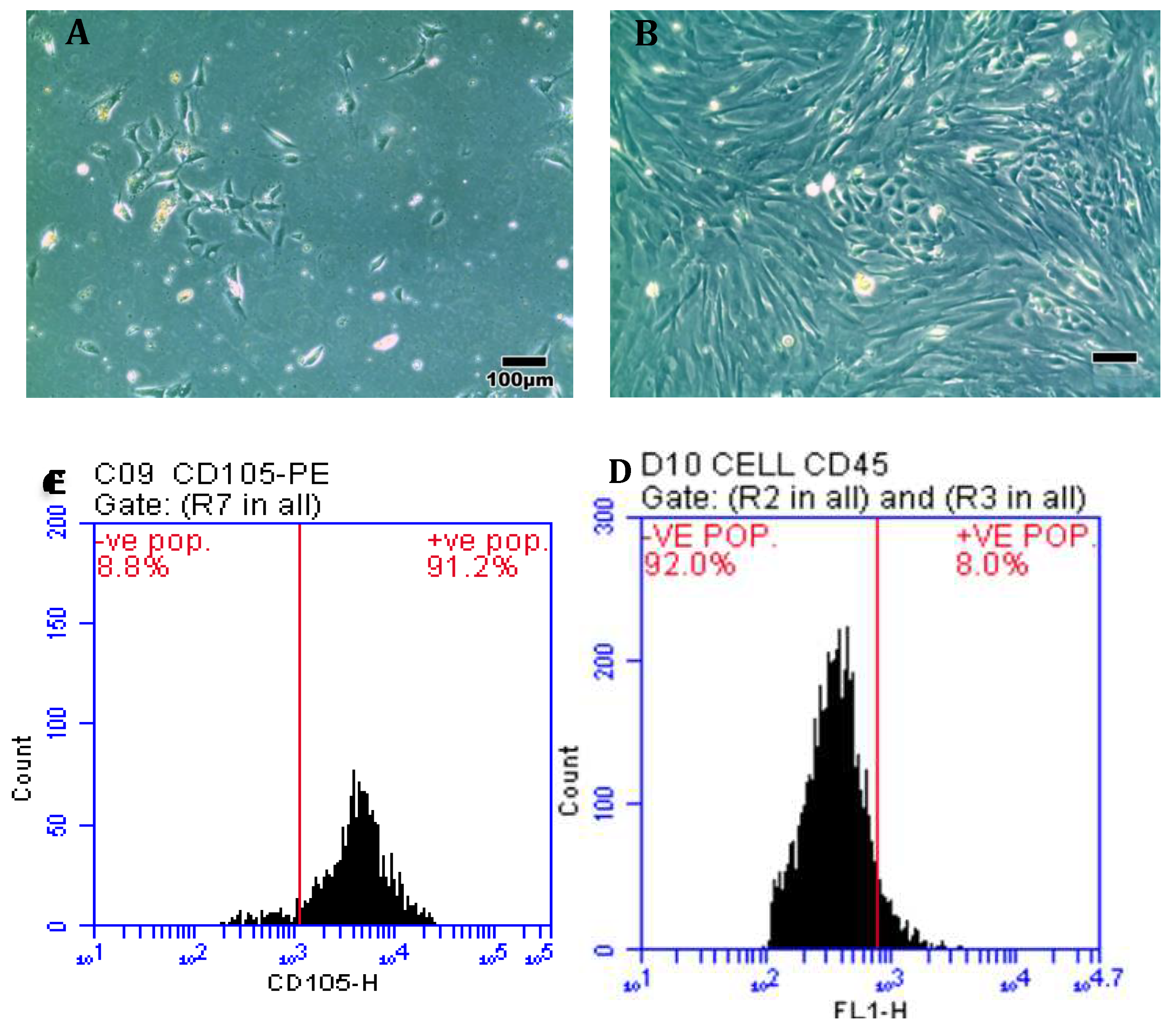 Preprints 79185 g001