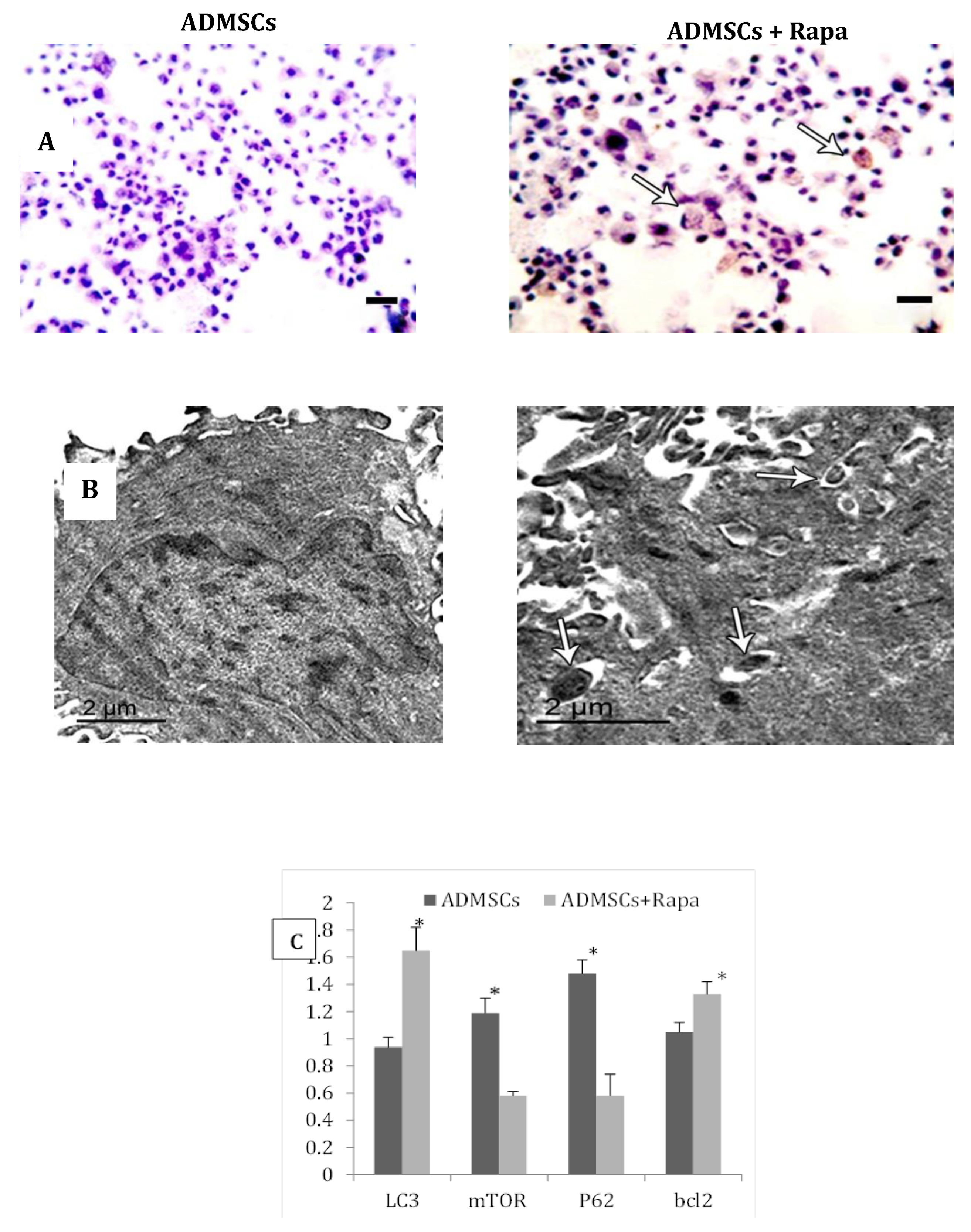 Preprints 79185 g003