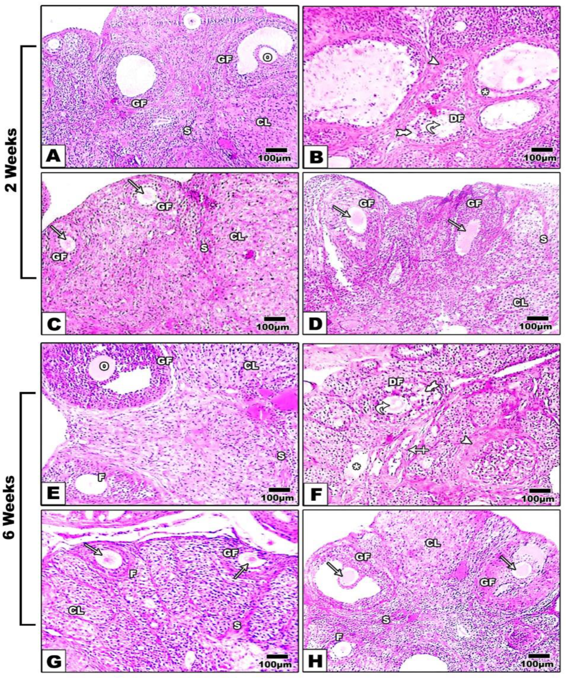 Preprints 79185 g006