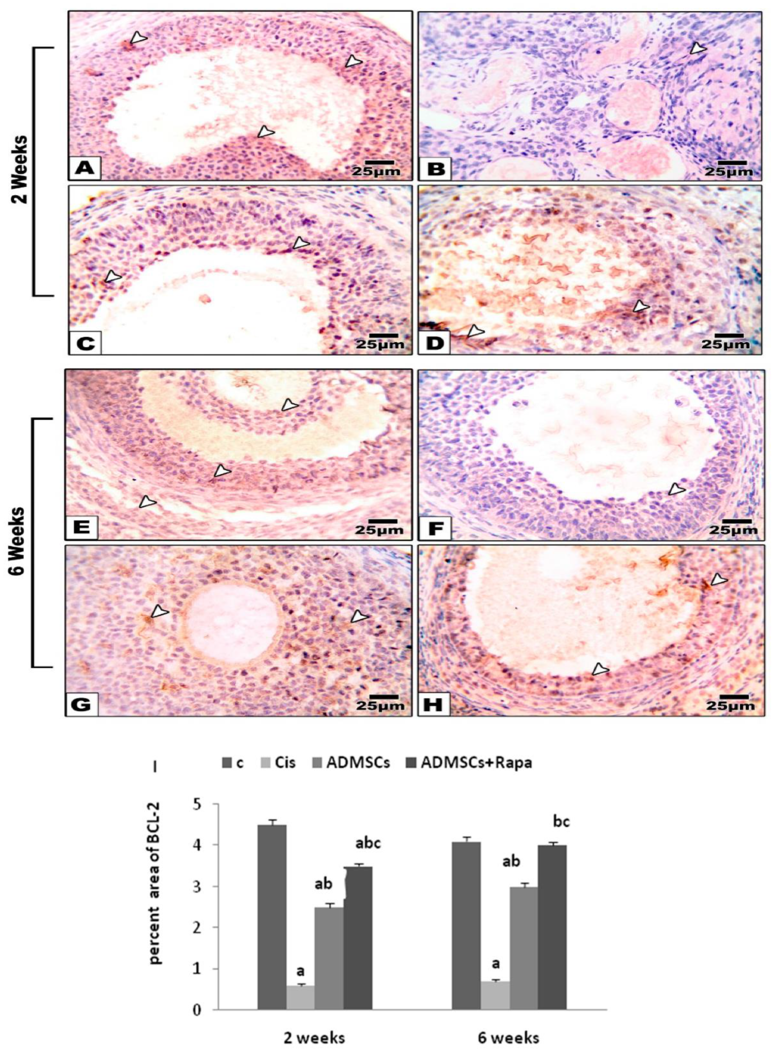 Preprints 79185 g007