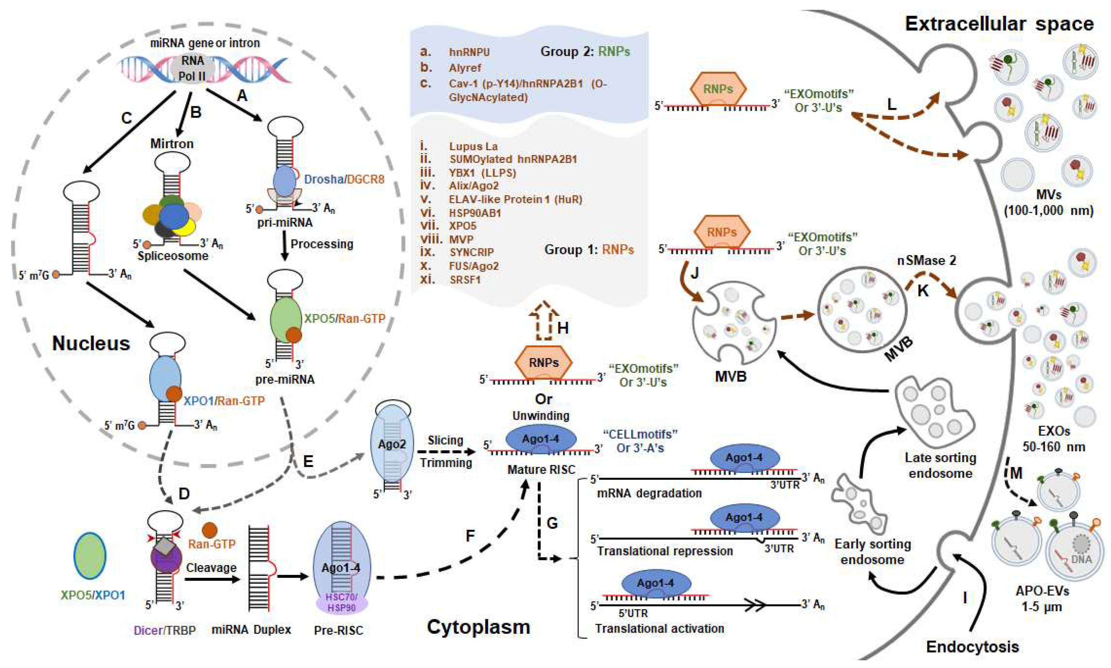 Preprints 79859 g001