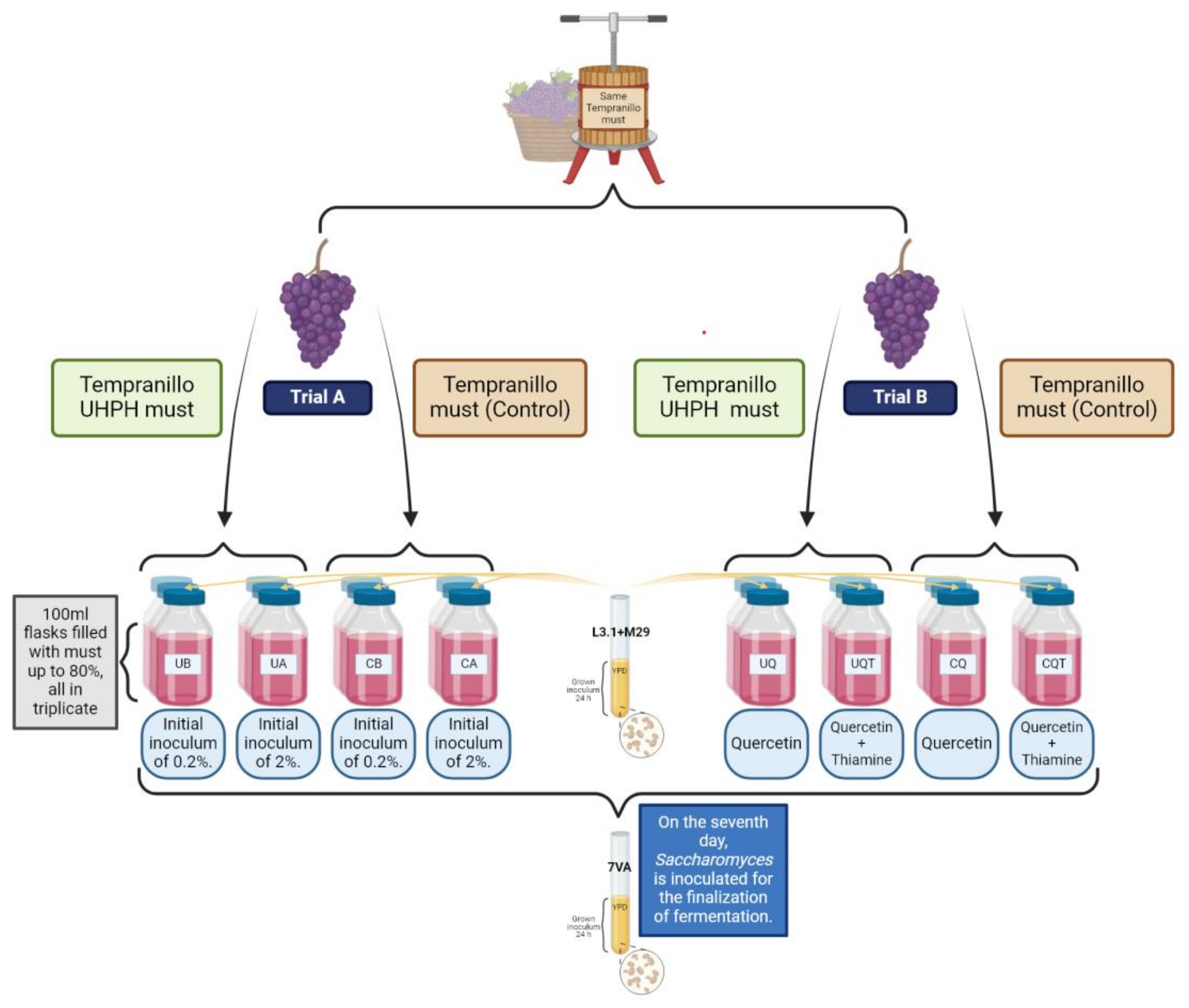 Preprints 116348 g001