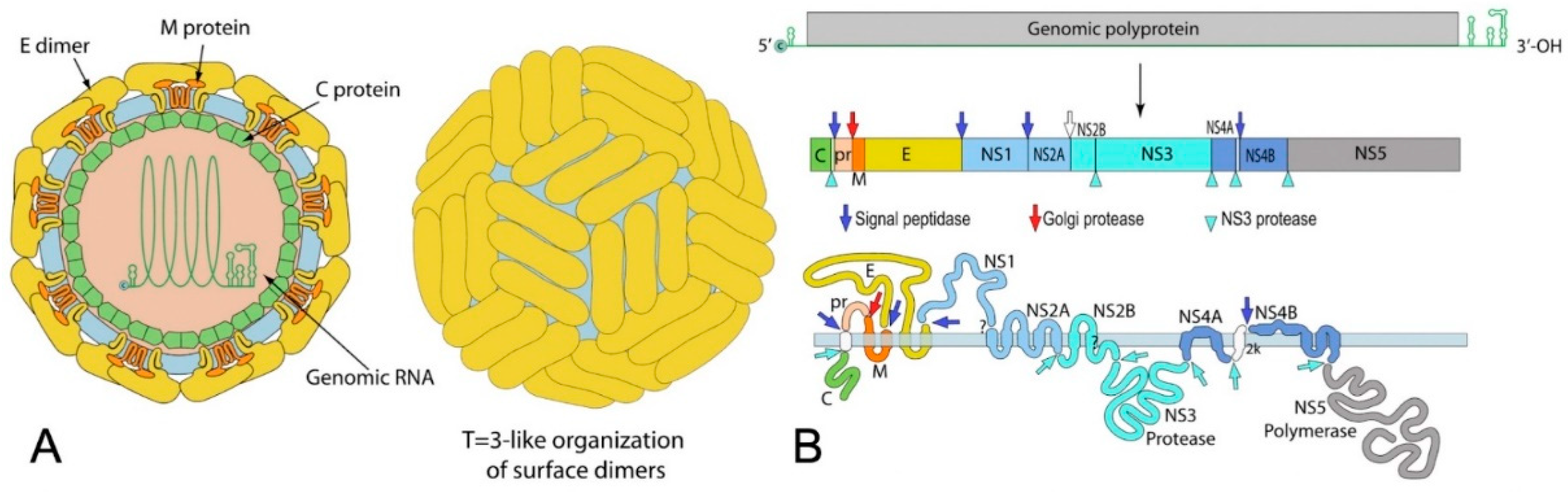 Preprints 89174 g001