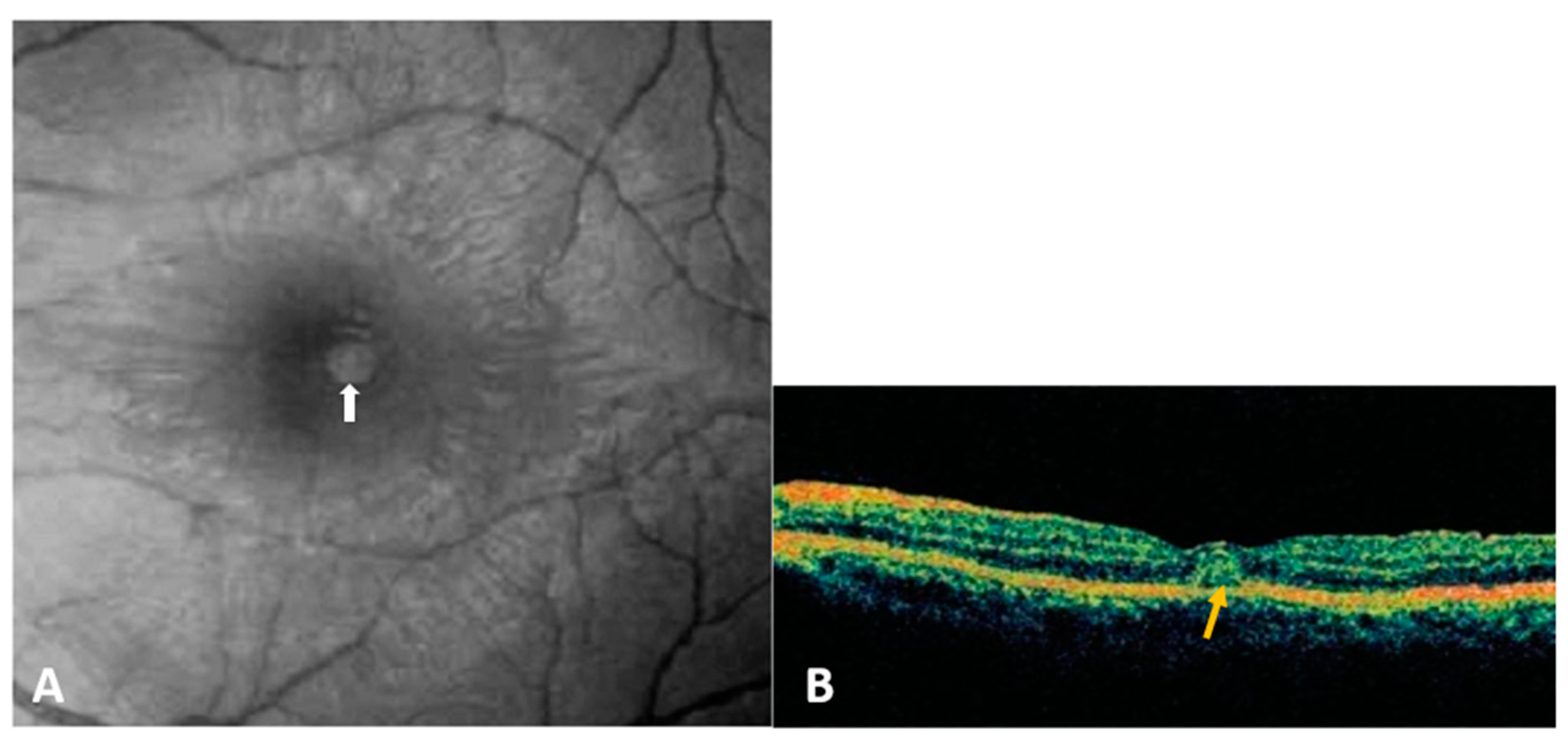 Preprints 89174 g003