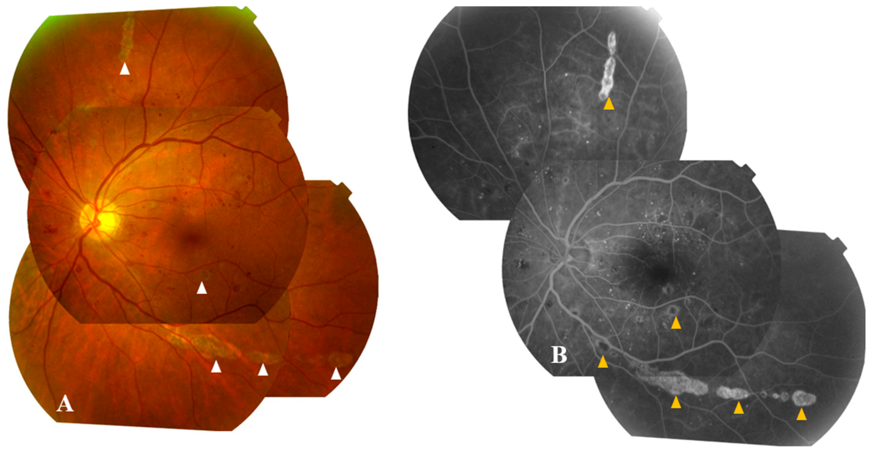 Preprints 89174 g004