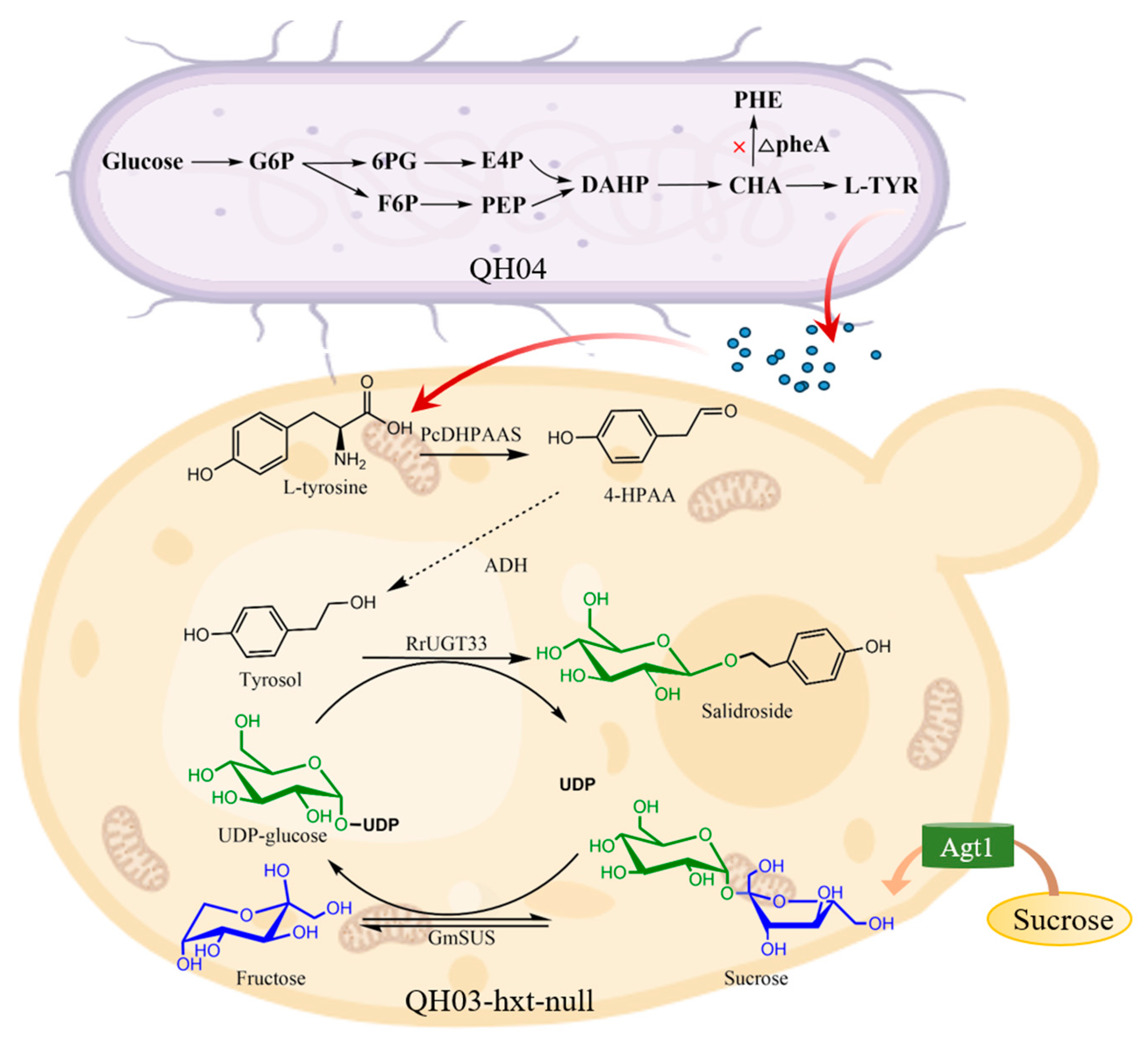 Preprints 100916 g001