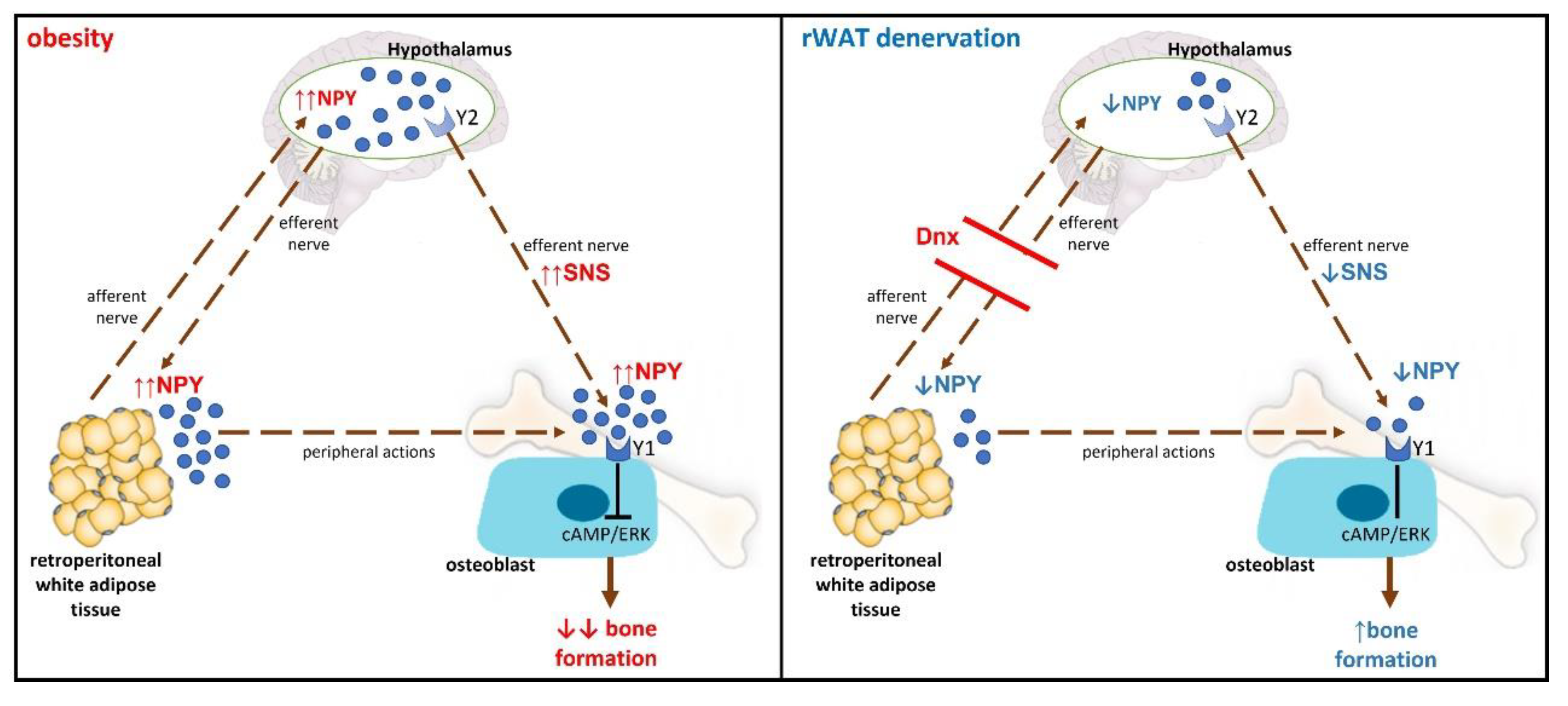 Preprints 79245 g007