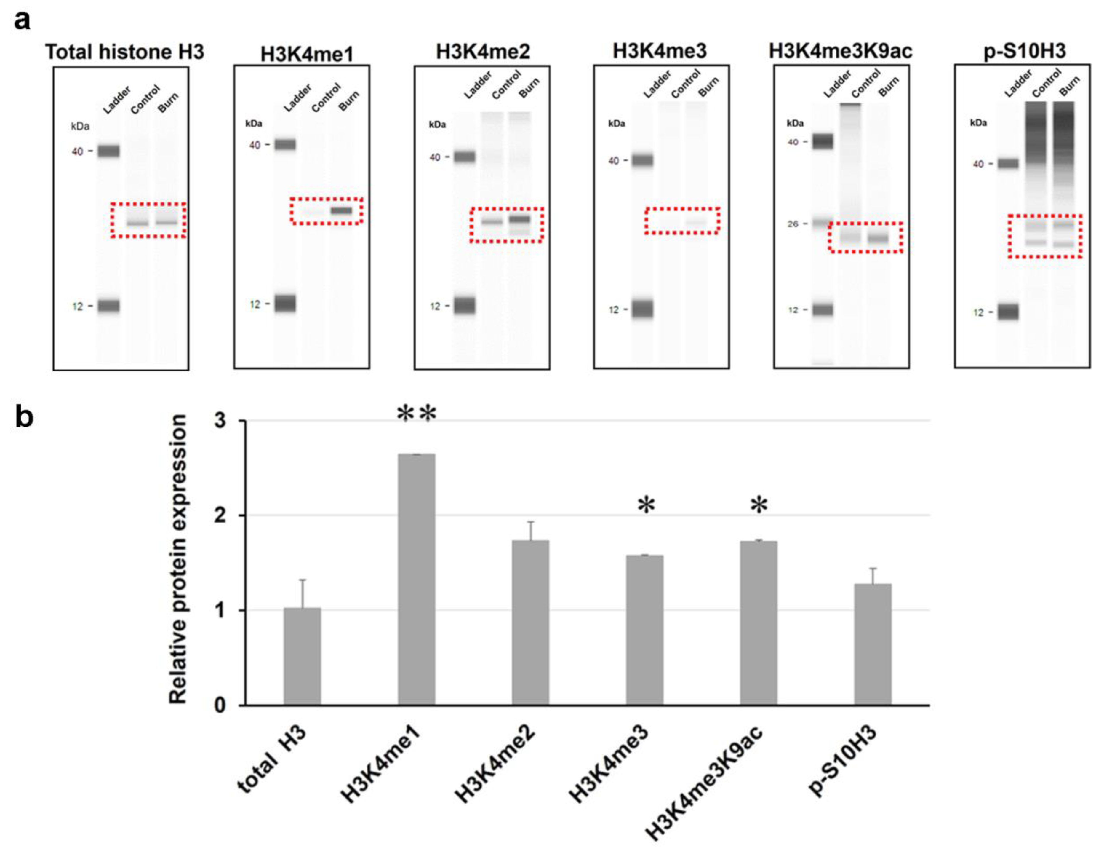 Preprints 112830 g002