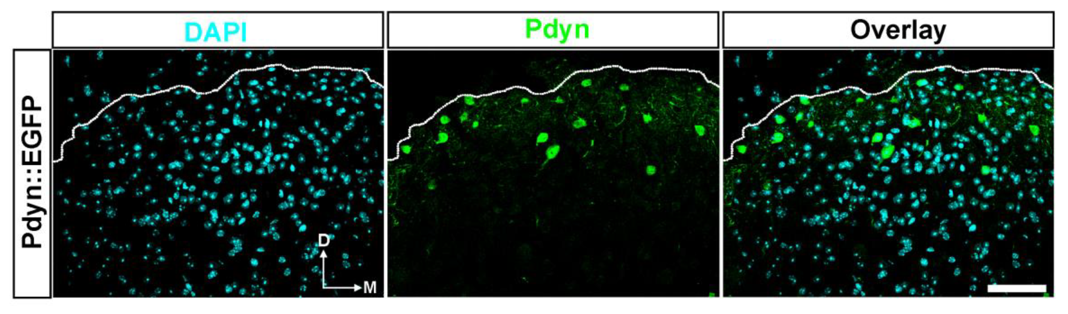 Preprints 112830 g004