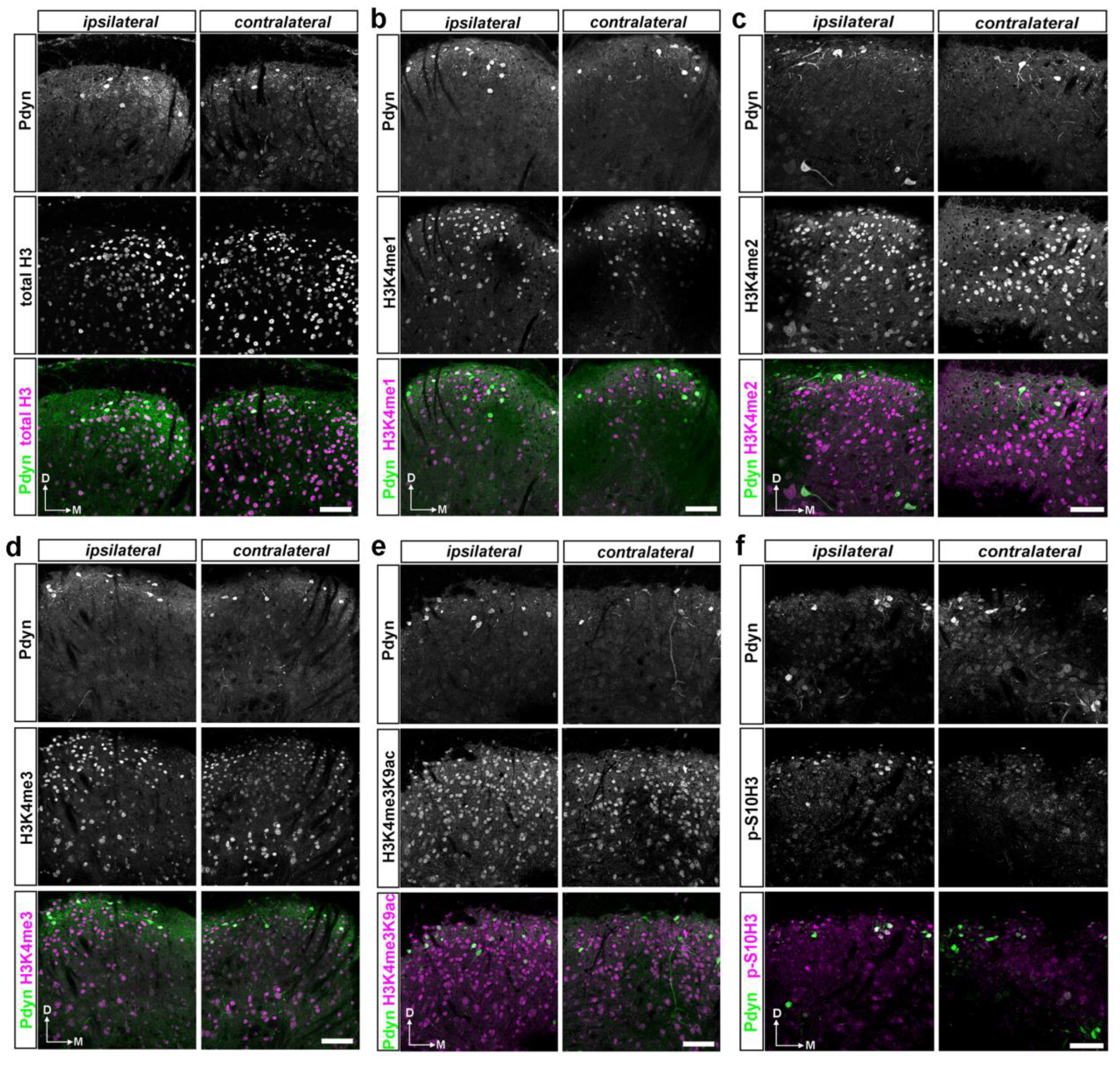 Preprints 112830 g005