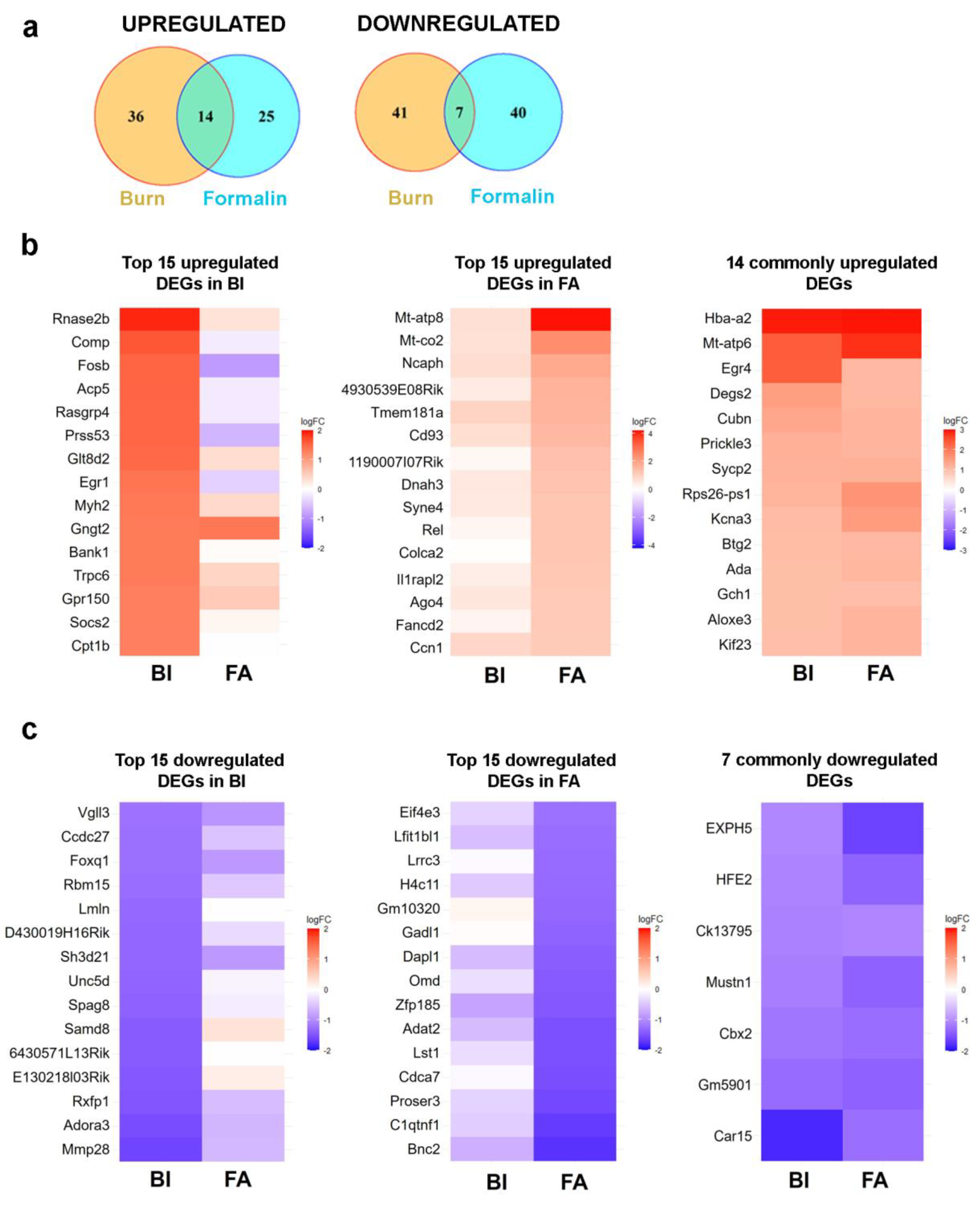 Preprints 112830 g006