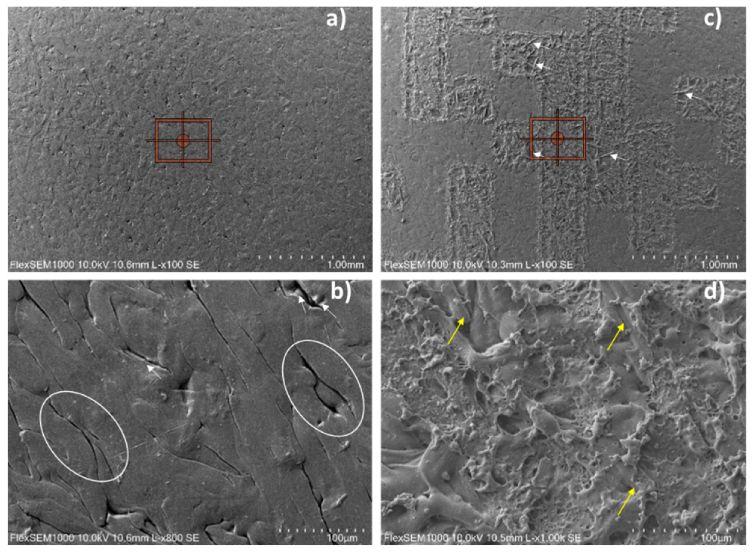 Preprints 88532 g005