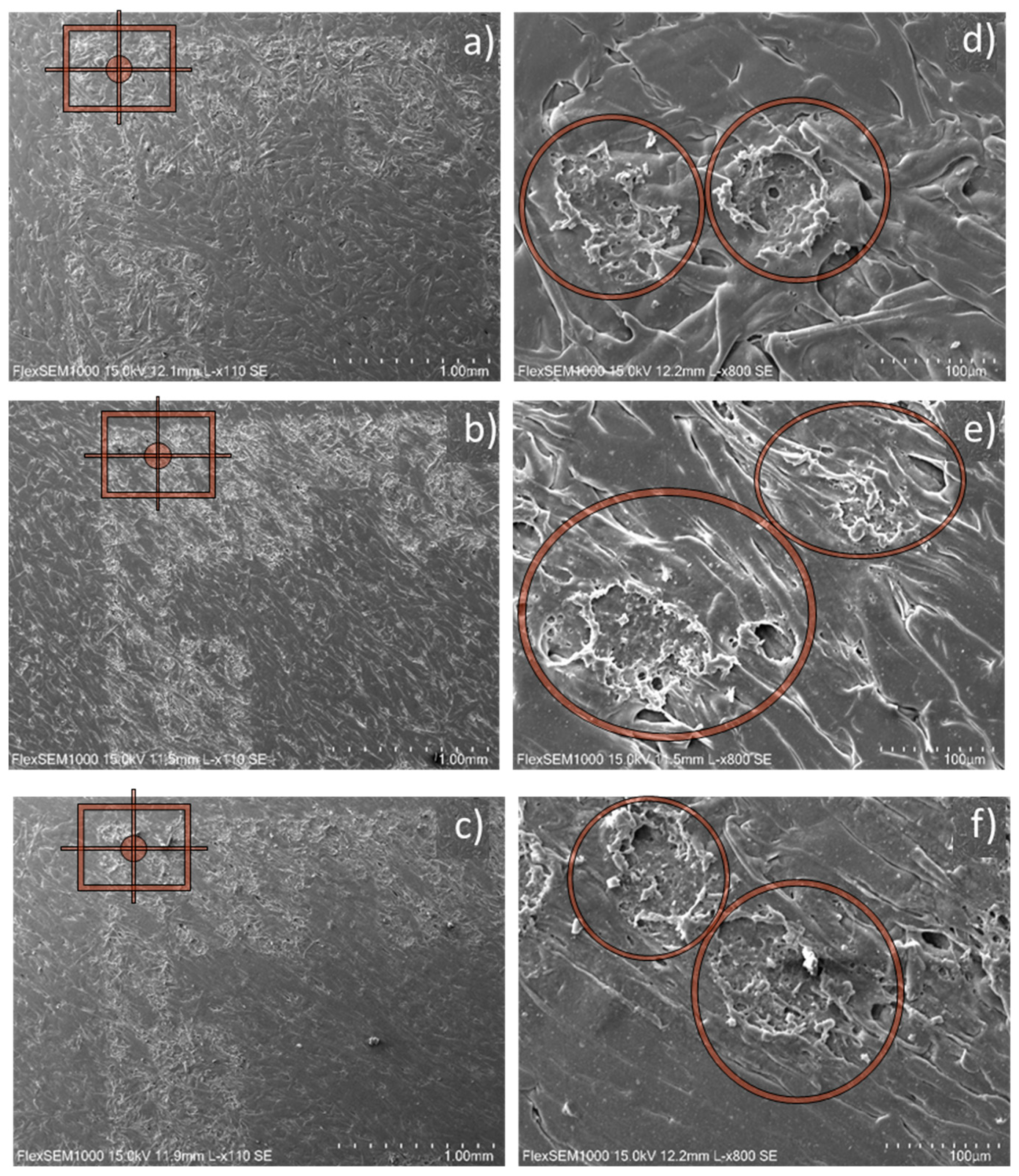 Preprints 88532 g006