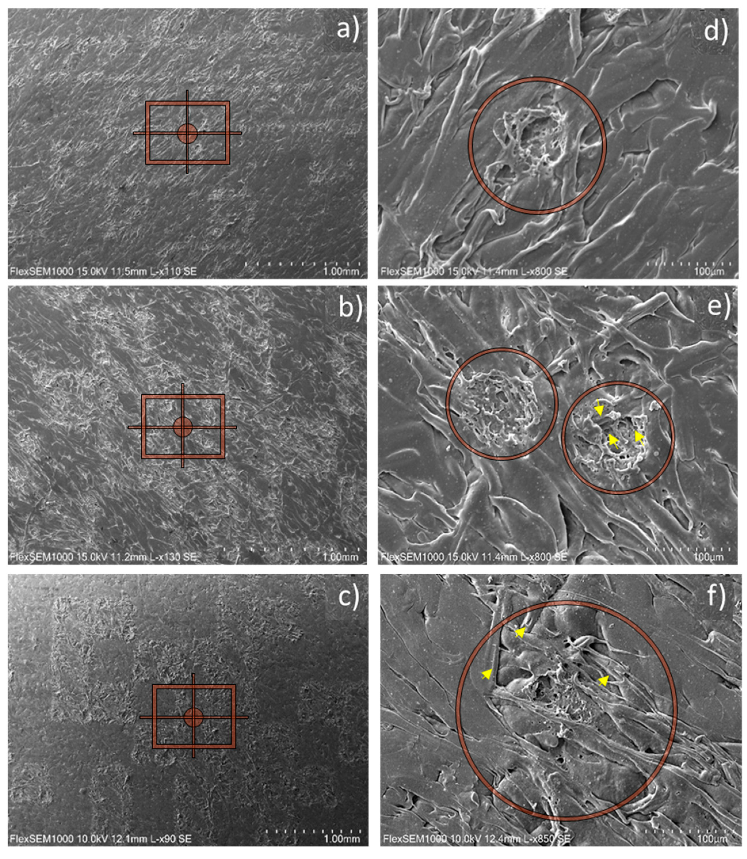 Preprints 88532 g007