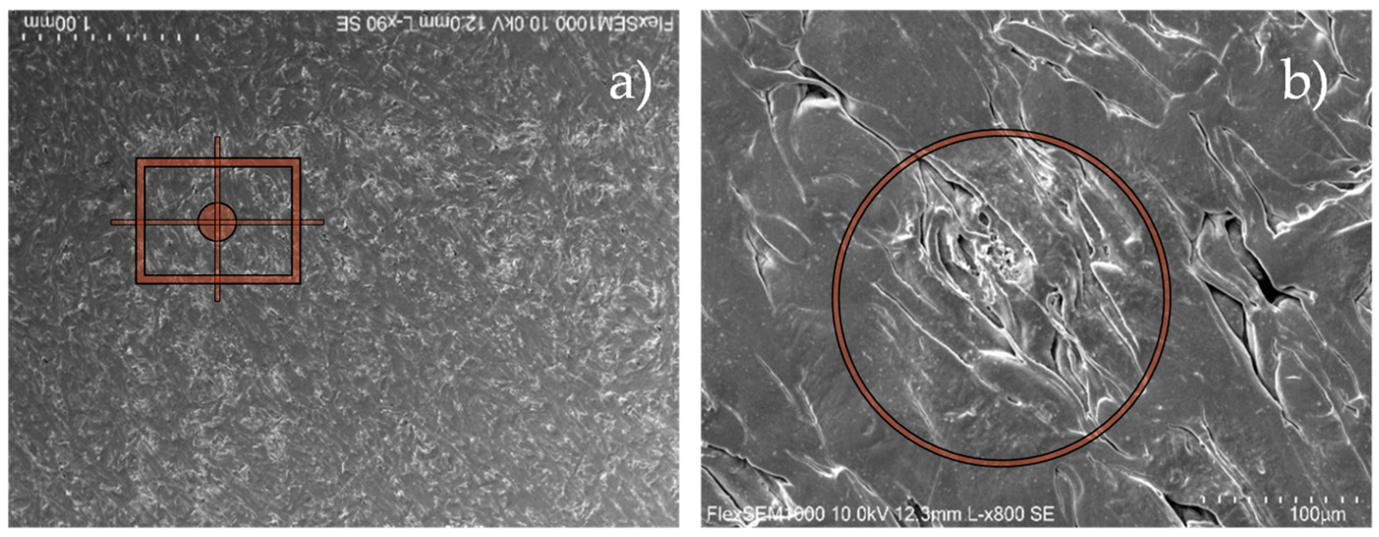 Preprints 88532 g010