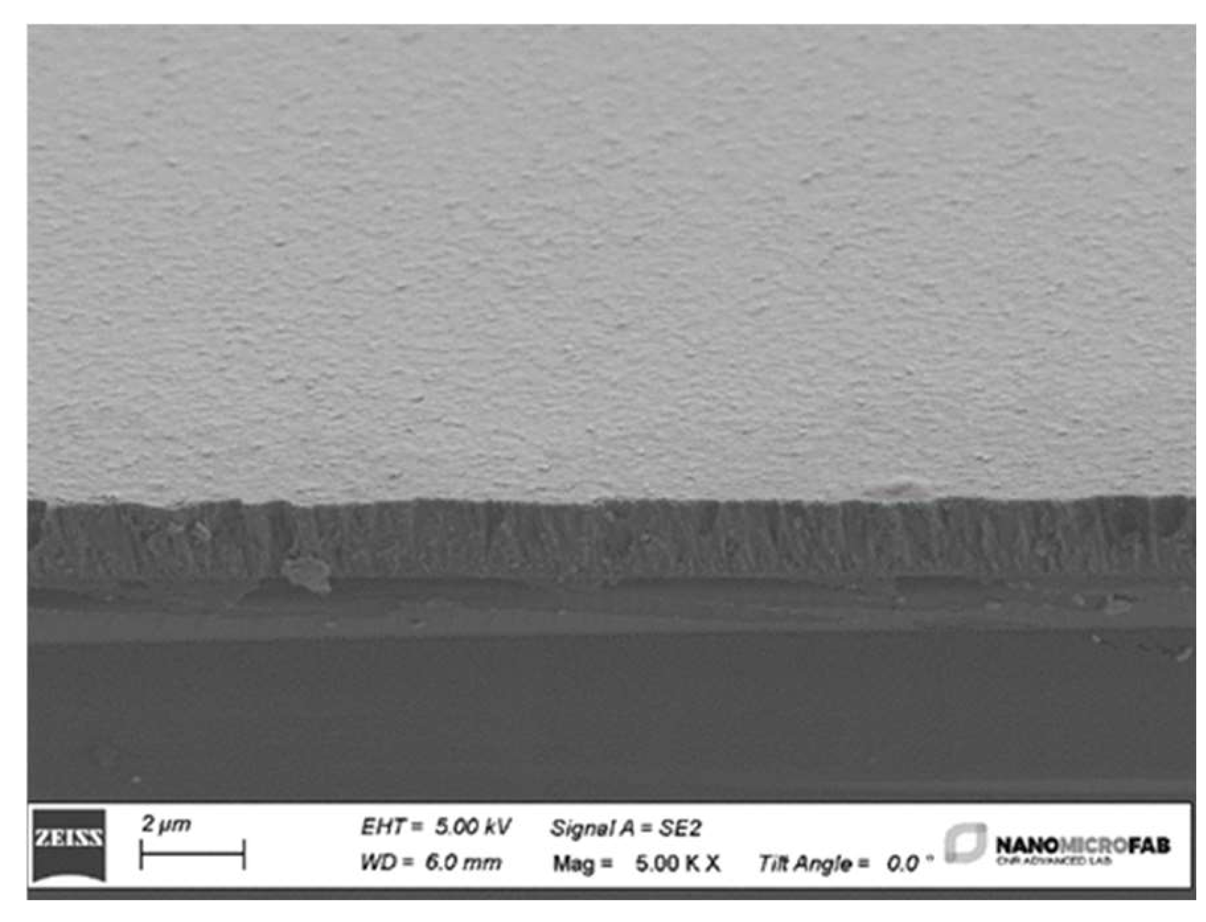 Preprints 110312 g005