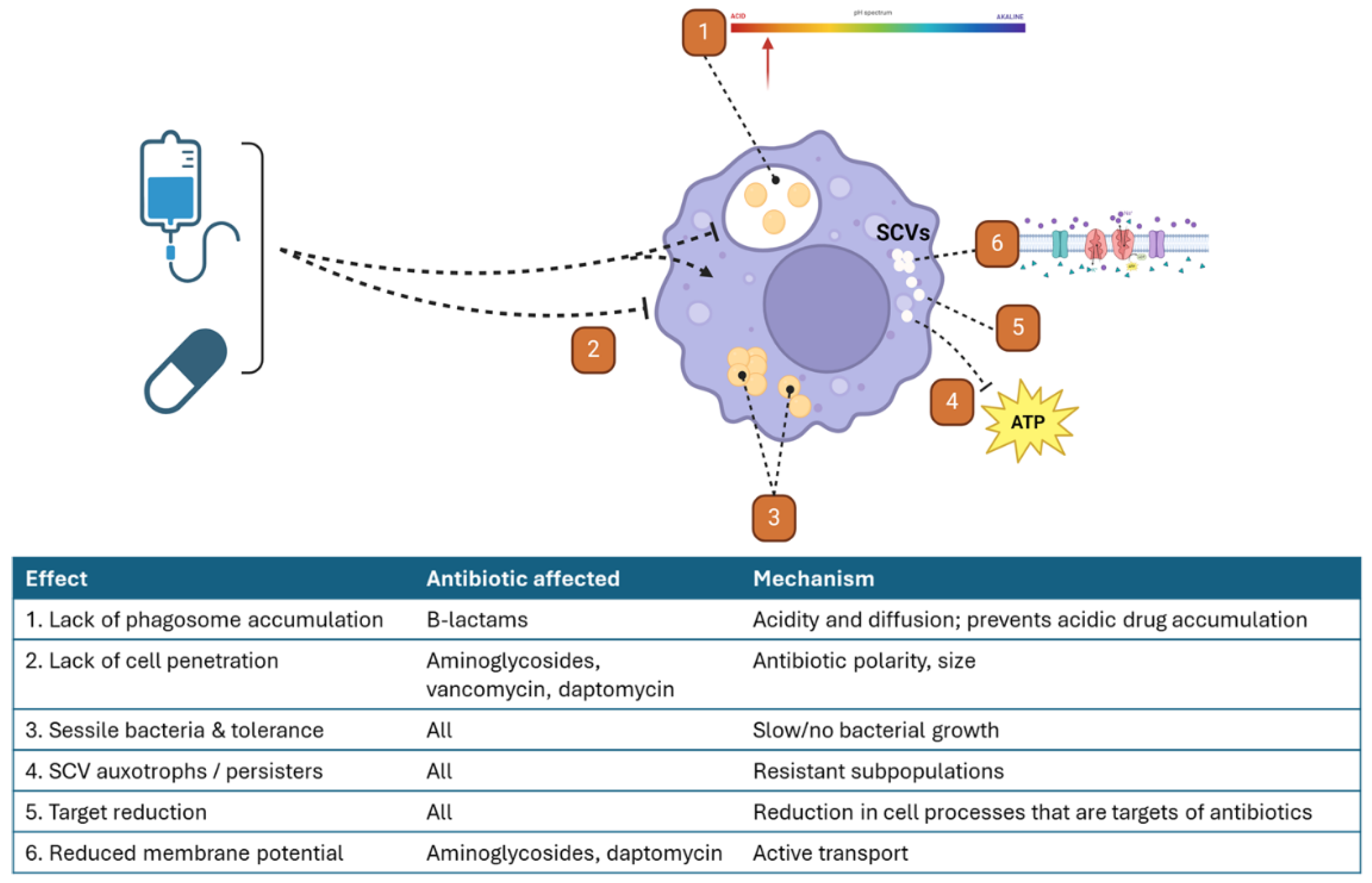 Preprints 107217 g003