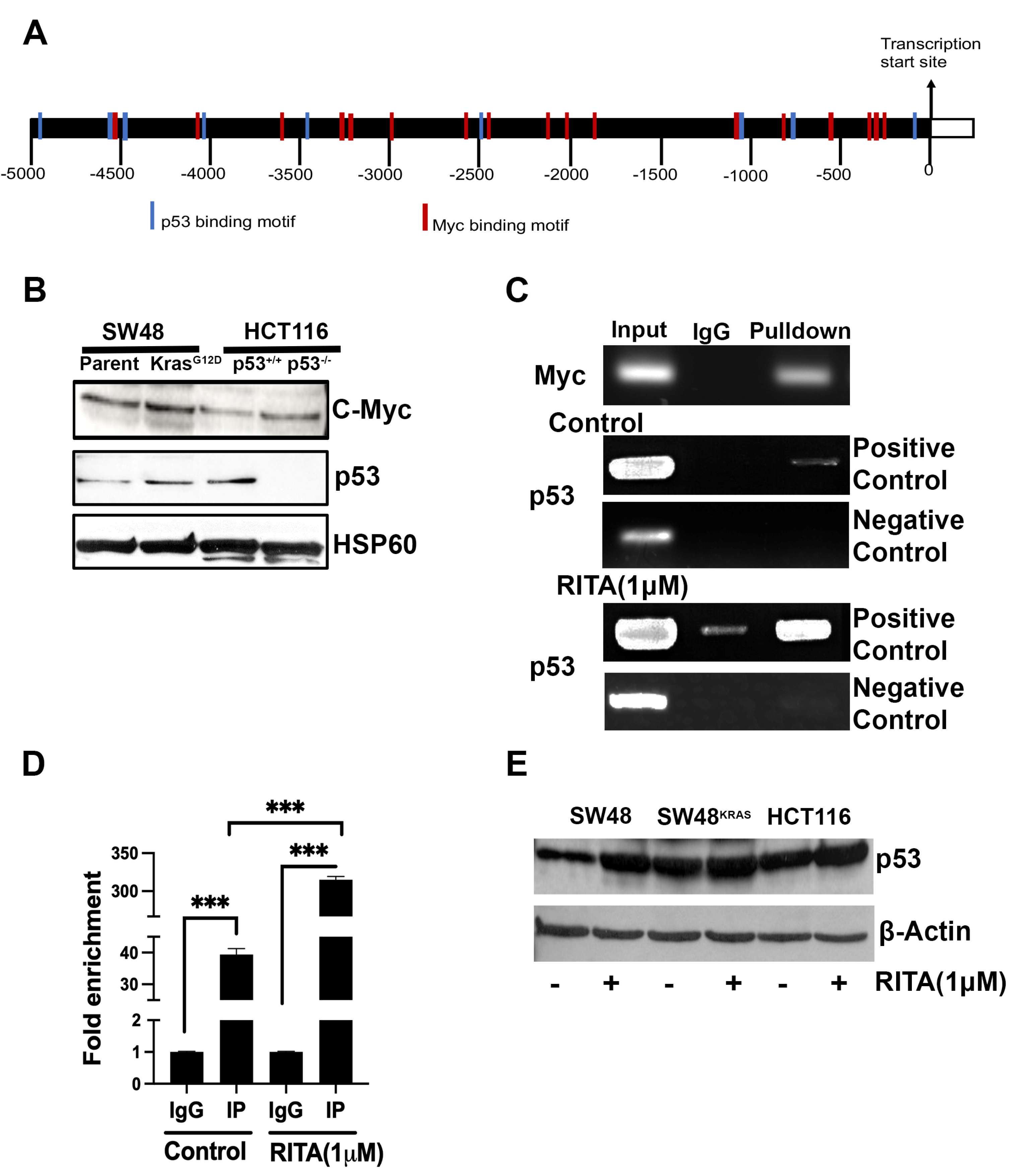 Preprints 108471 g002