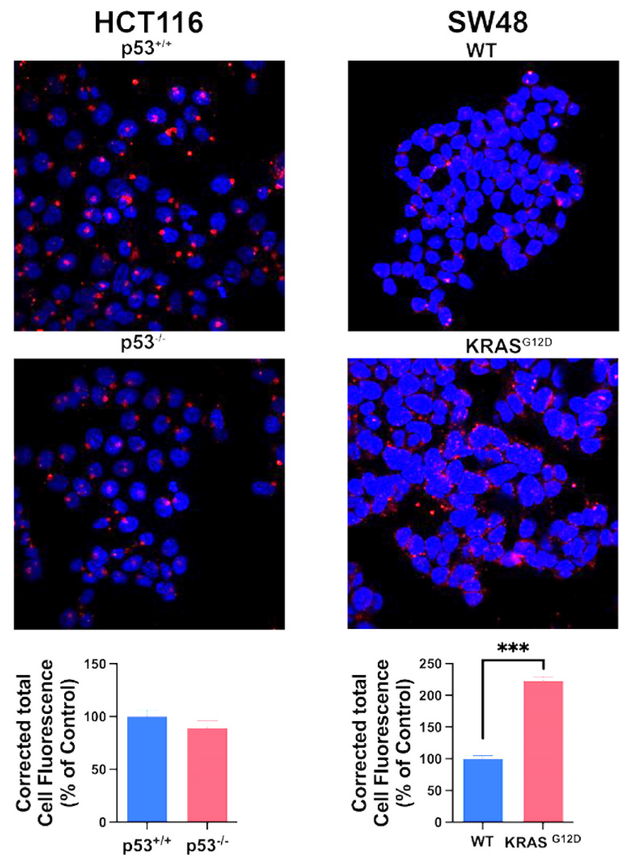 Preprints 108471 g003