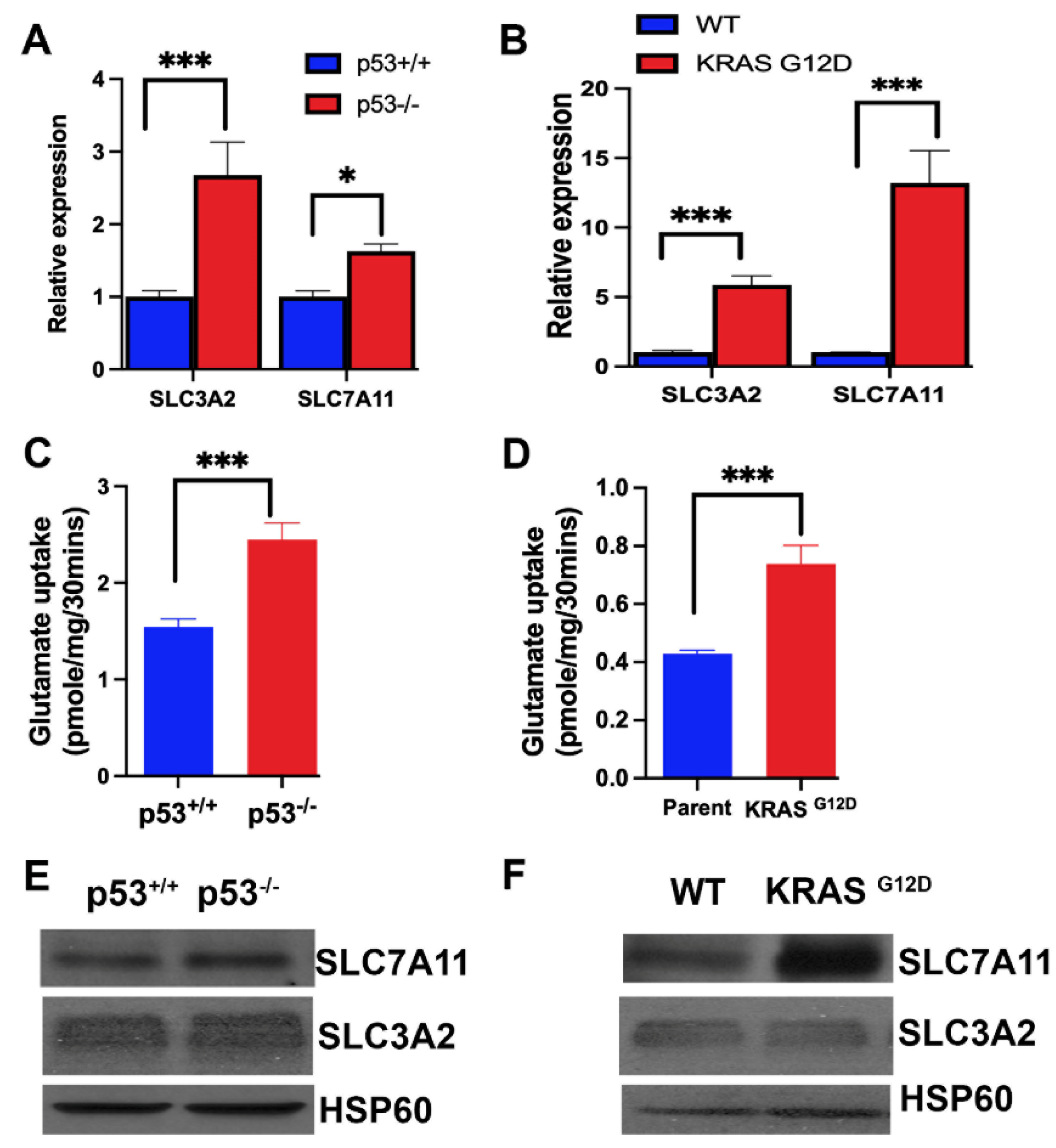 Preprints 108471 g004