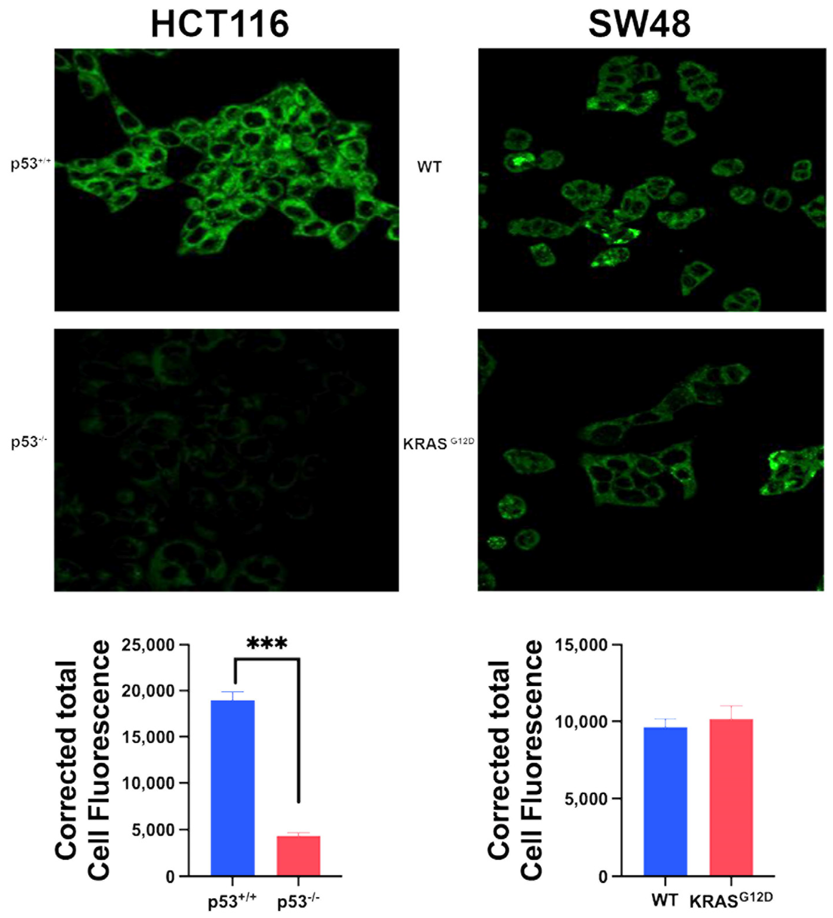 Preprints 108471 g005