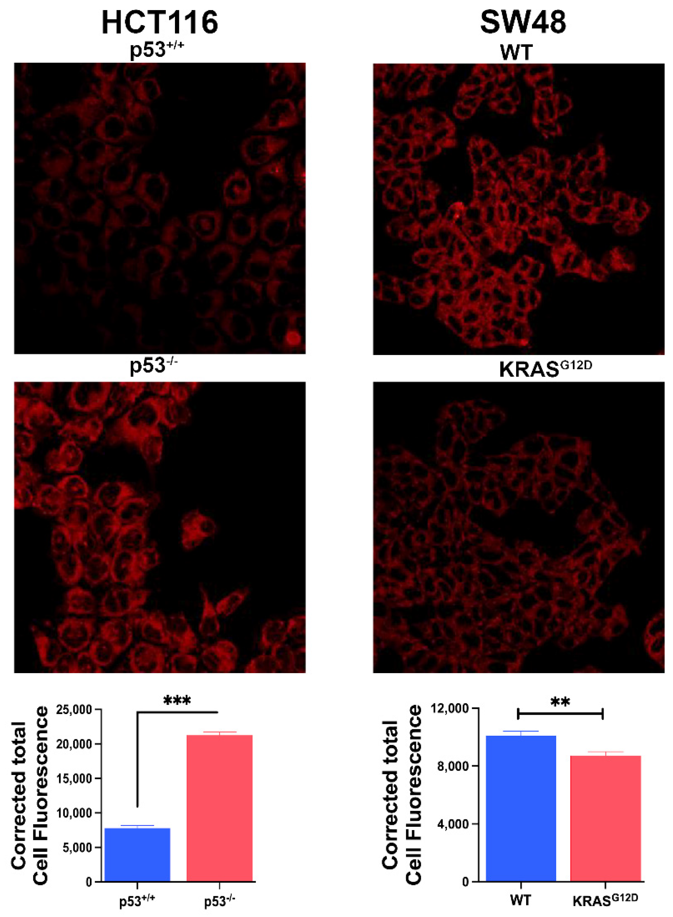 Preprints 108471 g006